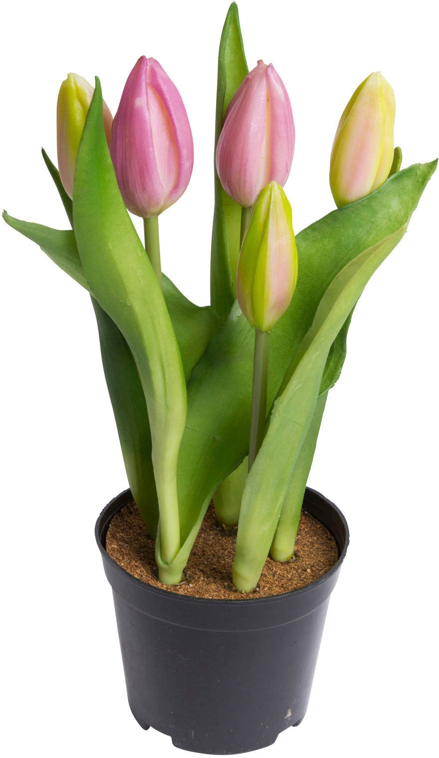 Kunstblume »Tulpenpflanze mit 5 Knospen«