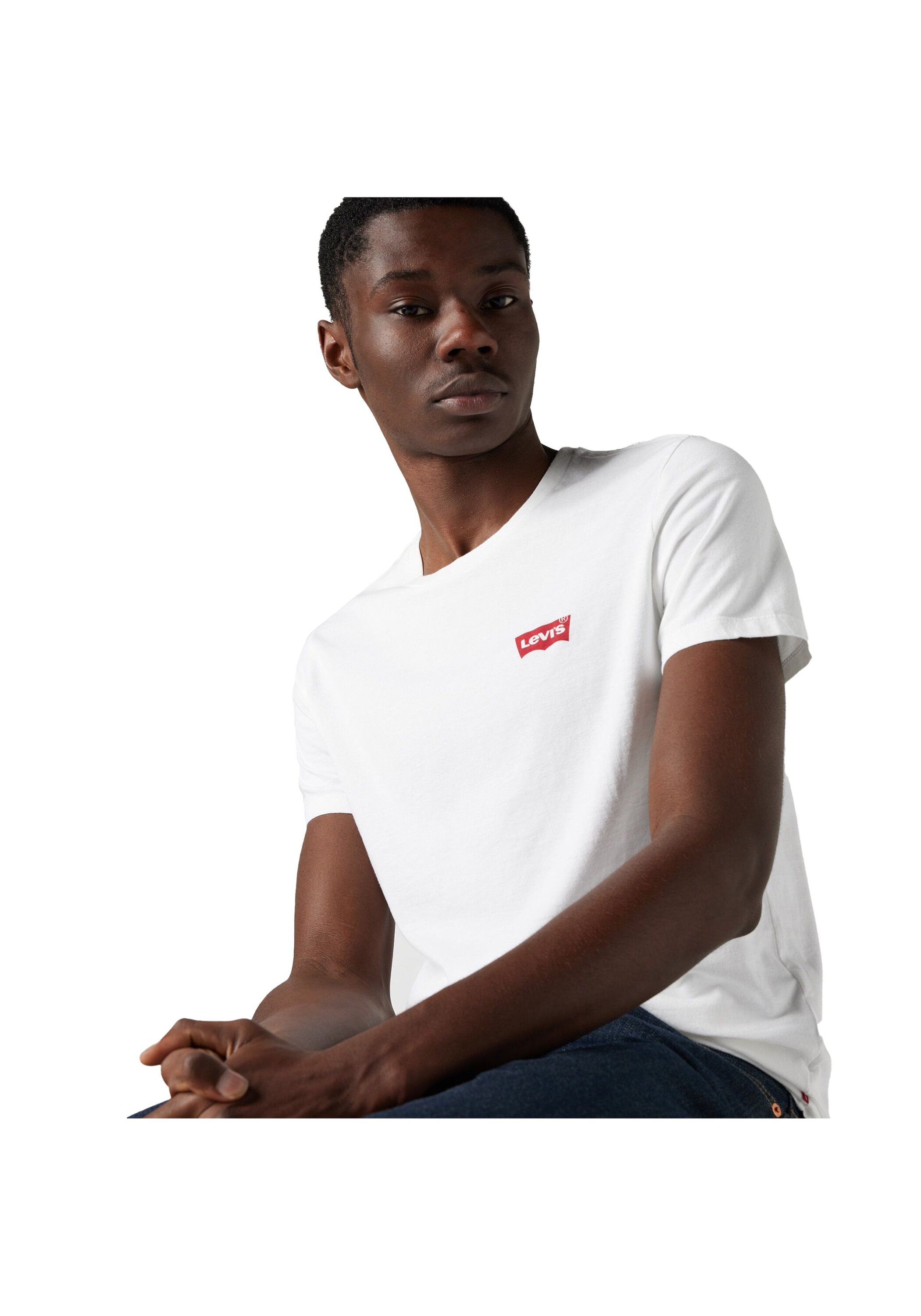 Levi's® T-Shirt »T-Shirt The Graphic Tee 2 Pack 2er Pack«