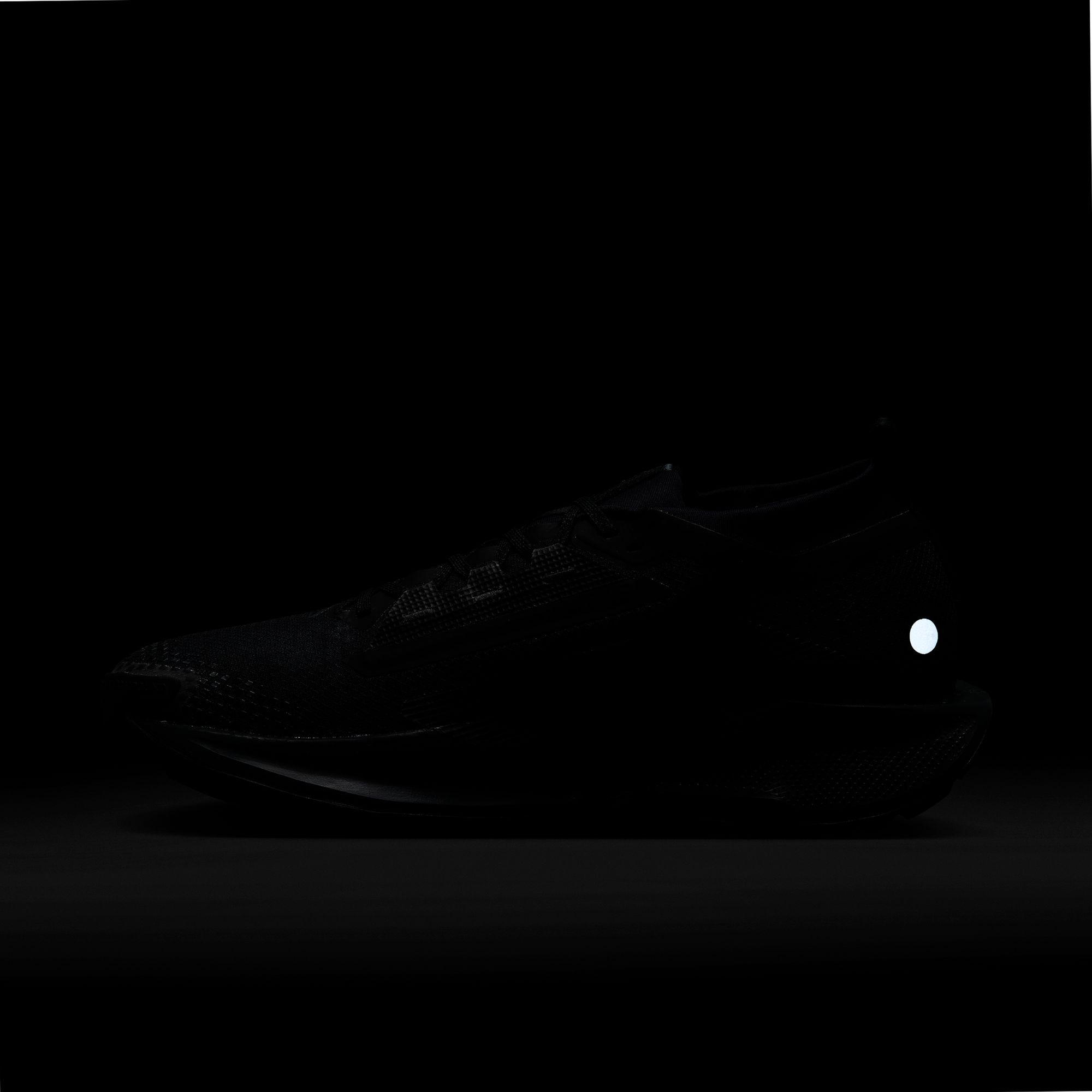 Nike Laufschuh »NIKE PEGASUS TRAIL 5 GTX«  wasserdicht