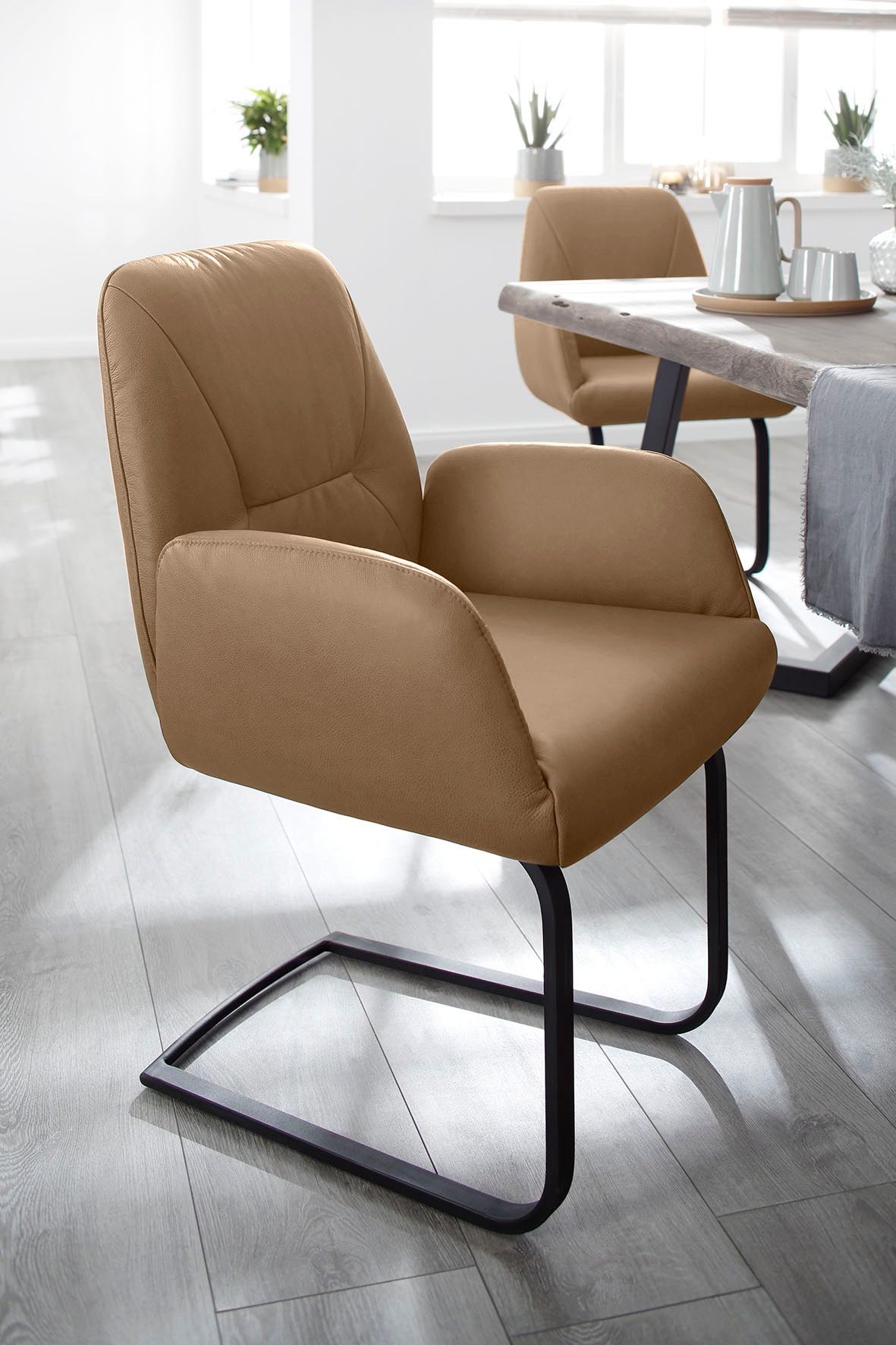 Thumbnail - W.SCHILLIG Freischwinger "ole" (Set) 4 Stk.2er- oder 4er-Set, Gestell in Schwarz pulverbeschichtet