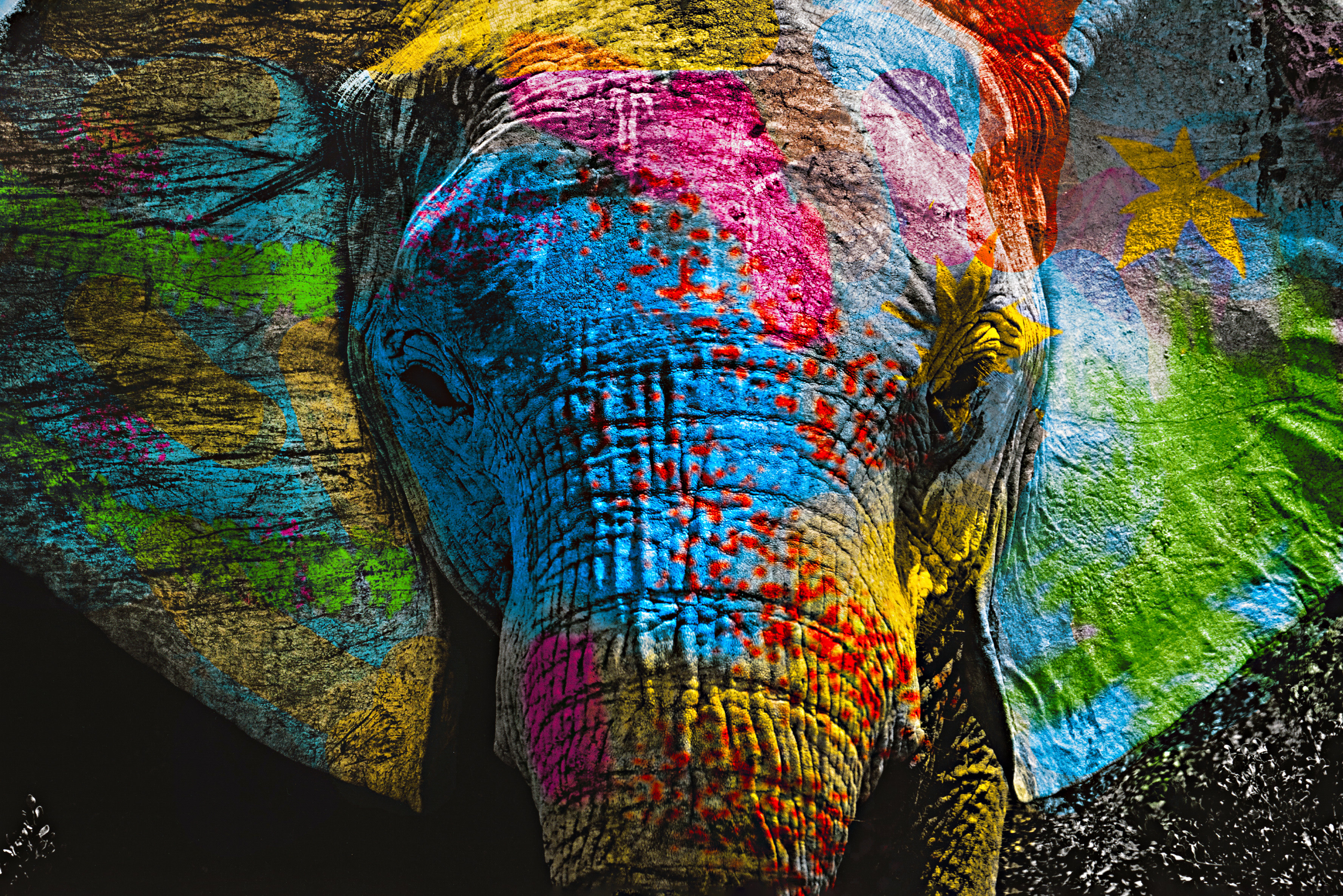 Affengeilebilder Leinwandbild "Color Elephant auf Keilrahmen gespannt" 1 Stk. tlg. Kunstdruck Wandbild Bild in verschiedenen Formaten