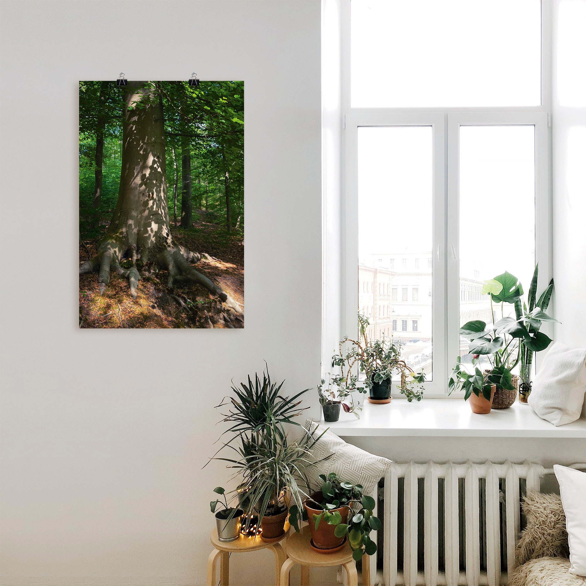 Artland Wandbild als Größen | oder (1 St.), Wandaufkleber Baumbilder, bestellen Poster in Leinwandbild, versch. »Waldimpression«, Alubild, BAUR