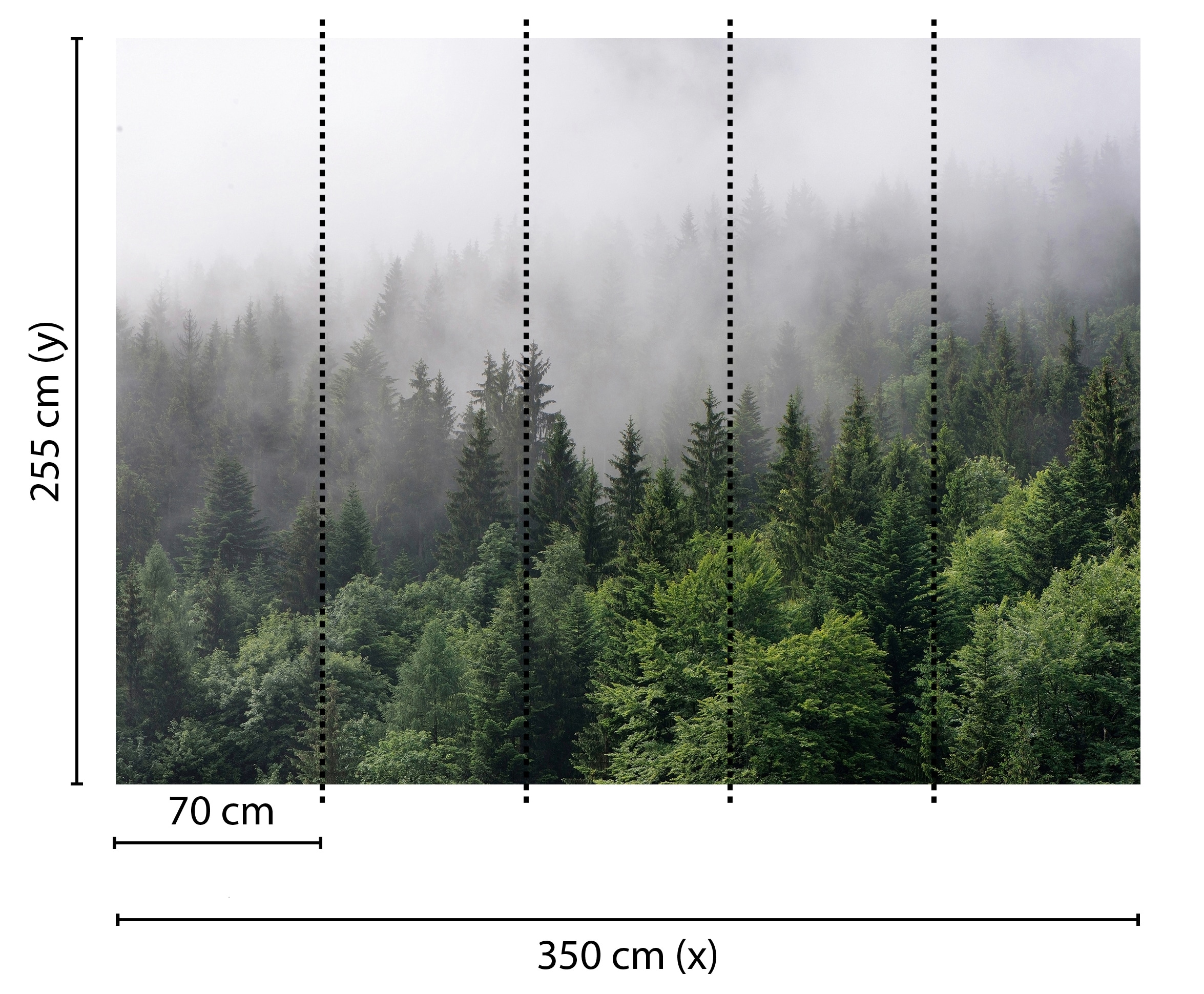 living walls Fototapete »Designwalls Foggy Fir Trees«, Vlies, Wand, Schräge, Decke