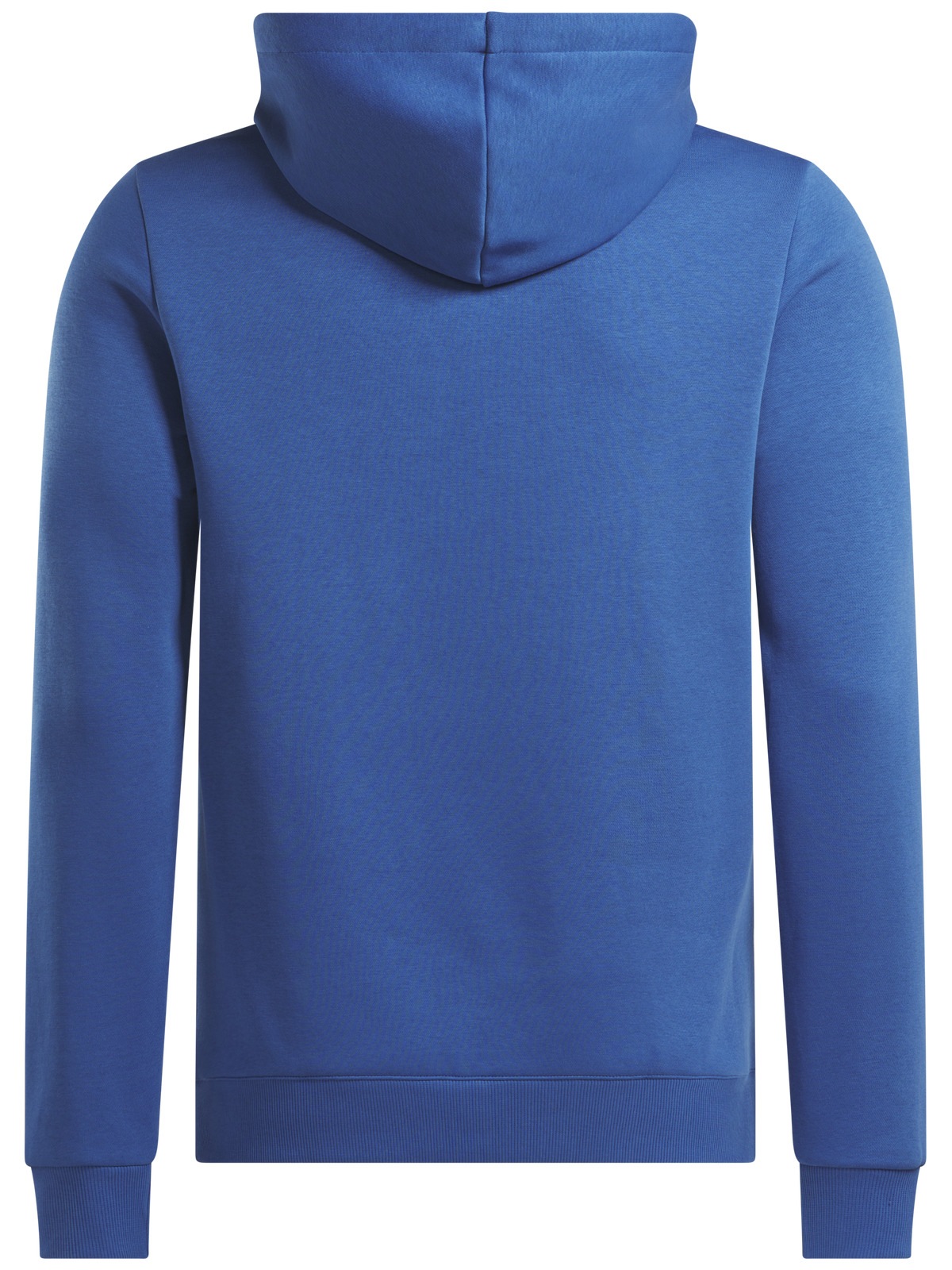 Reebok Kapuzensweatshirt