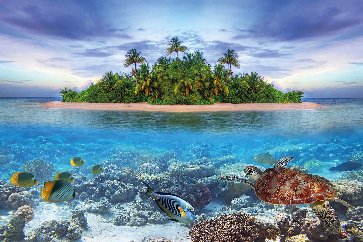 Papermoon Fototapete "Marine Life Maldives" glatt