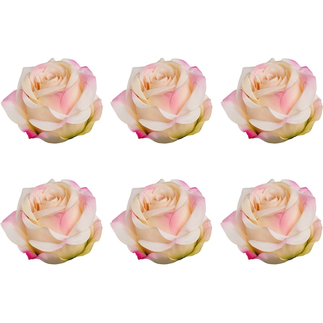 Creativ green Kunstblume »Rose mit Clip«, im 6er Set kaufen | BAUR