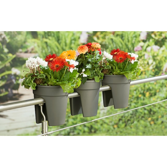 KHW Balkonkasten »Flowerclip«, (Set, 3 St.), ØxH: 27x27,5 cm bestellen |  BAUR