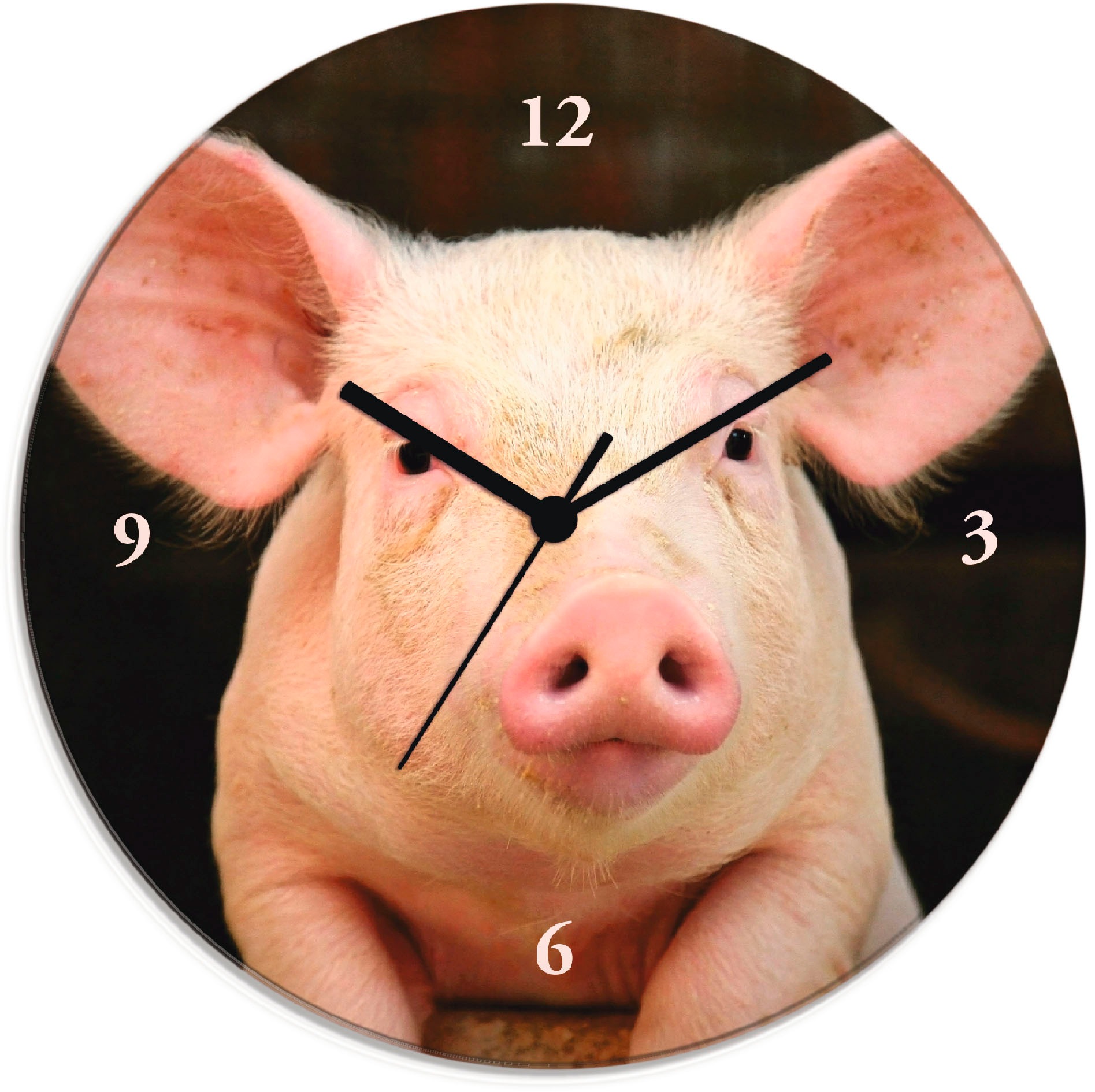 Artland Wanduhr »Vorwitziges Schwein«, wahlweise mit Quarz- oder Funkuhrwerk,  lautlos ohne Tickgeräusche | BAUR