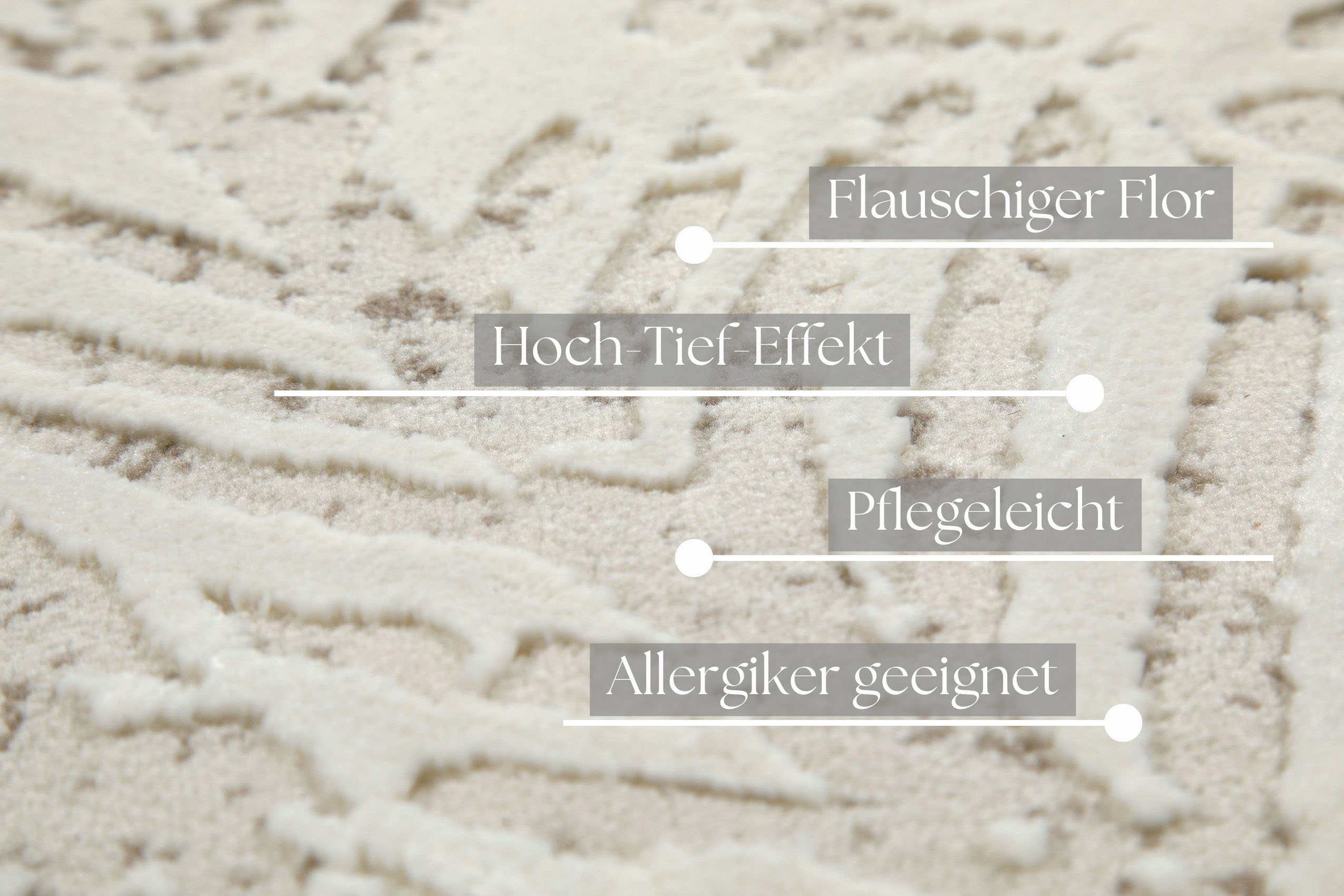 Thumbnail - my home Teppich "Cirsten", rechteckig, 10 mm Höhe, Kurzflor, florales, Bätter, Hoch Tief, weiche Oberfläche, Wohnzimmer