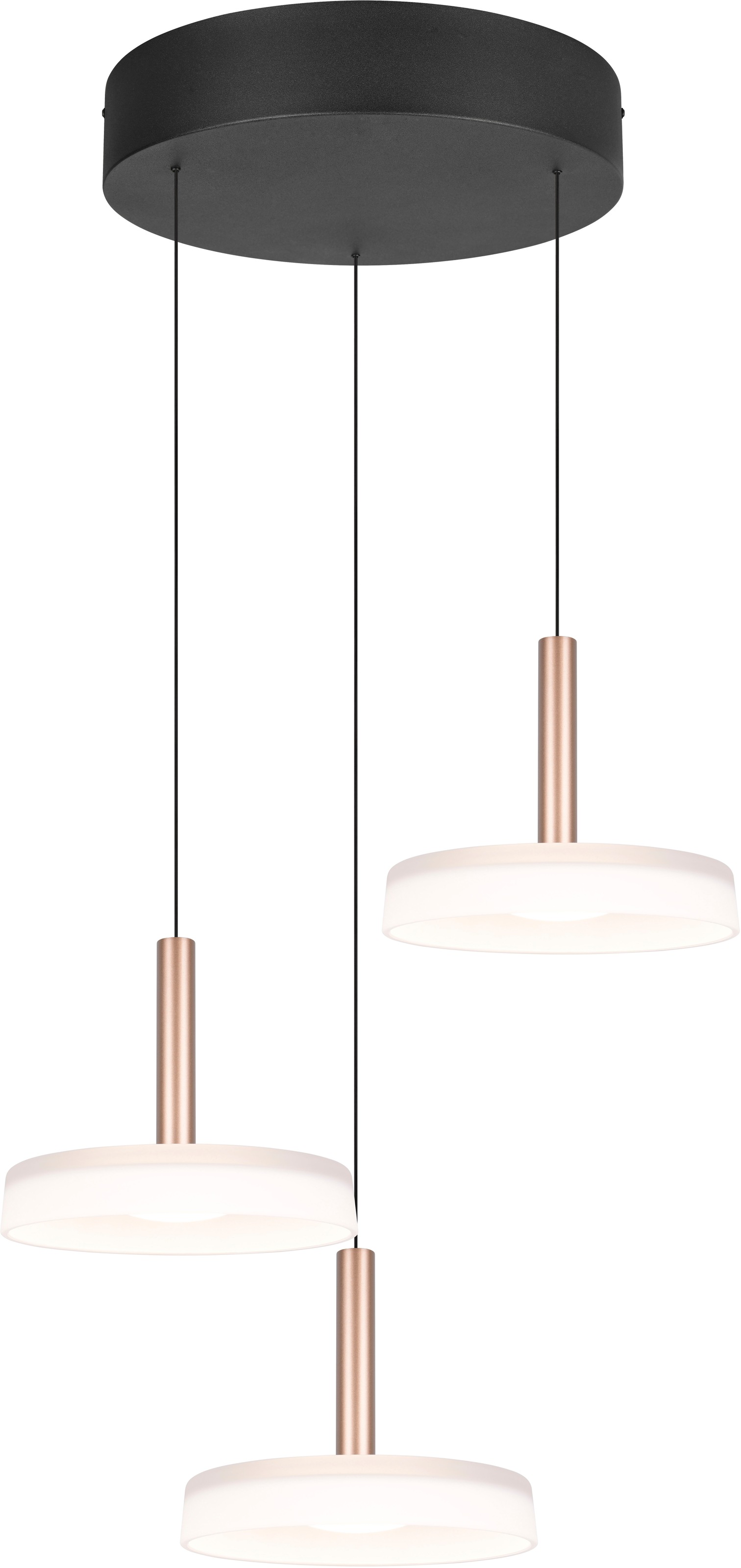 TRIO Leuchten LED pakabinamas šviestuvas »CELESTE di...