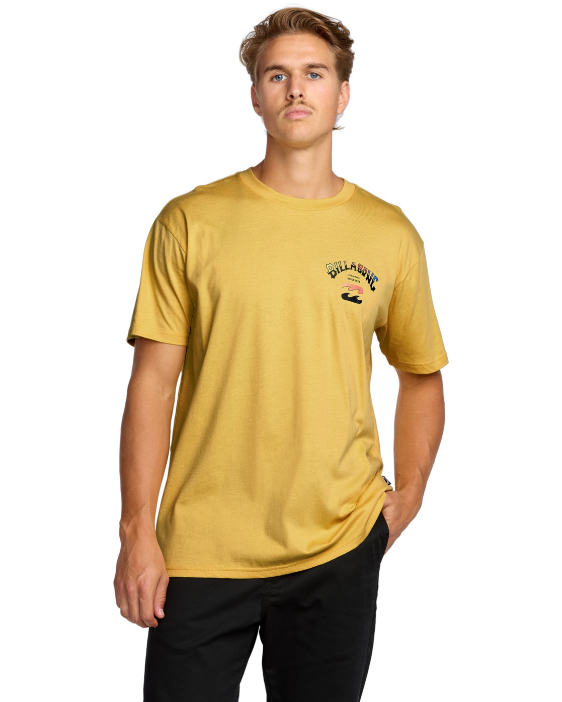 Billabong T-Shirt "Arch Fade Premium" günstig online kaufen