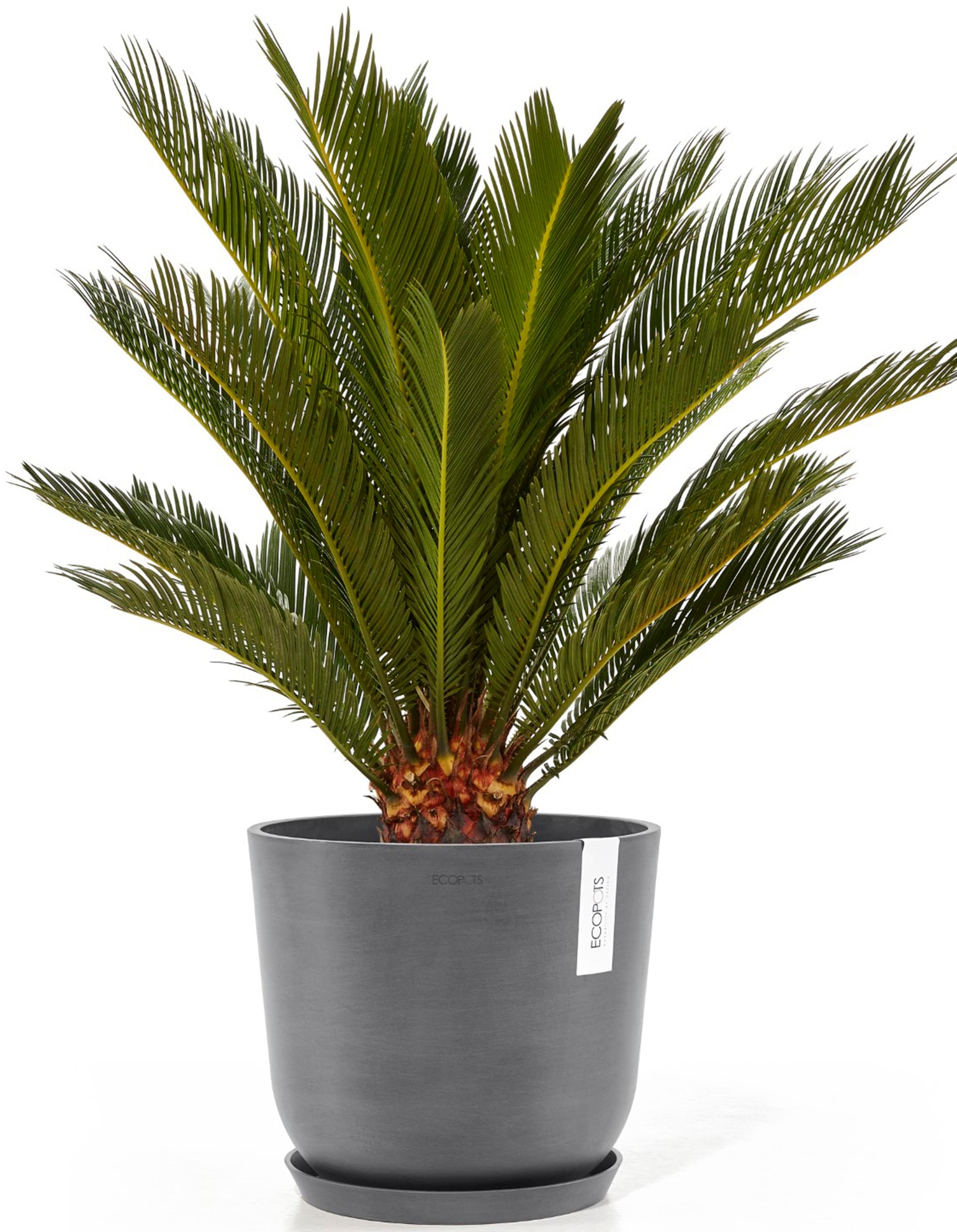 ECOPOTS Blumentopf »Oslo 25 Grau«, für innen und außen: frostsicher, bruchsicher und lichtbeständig