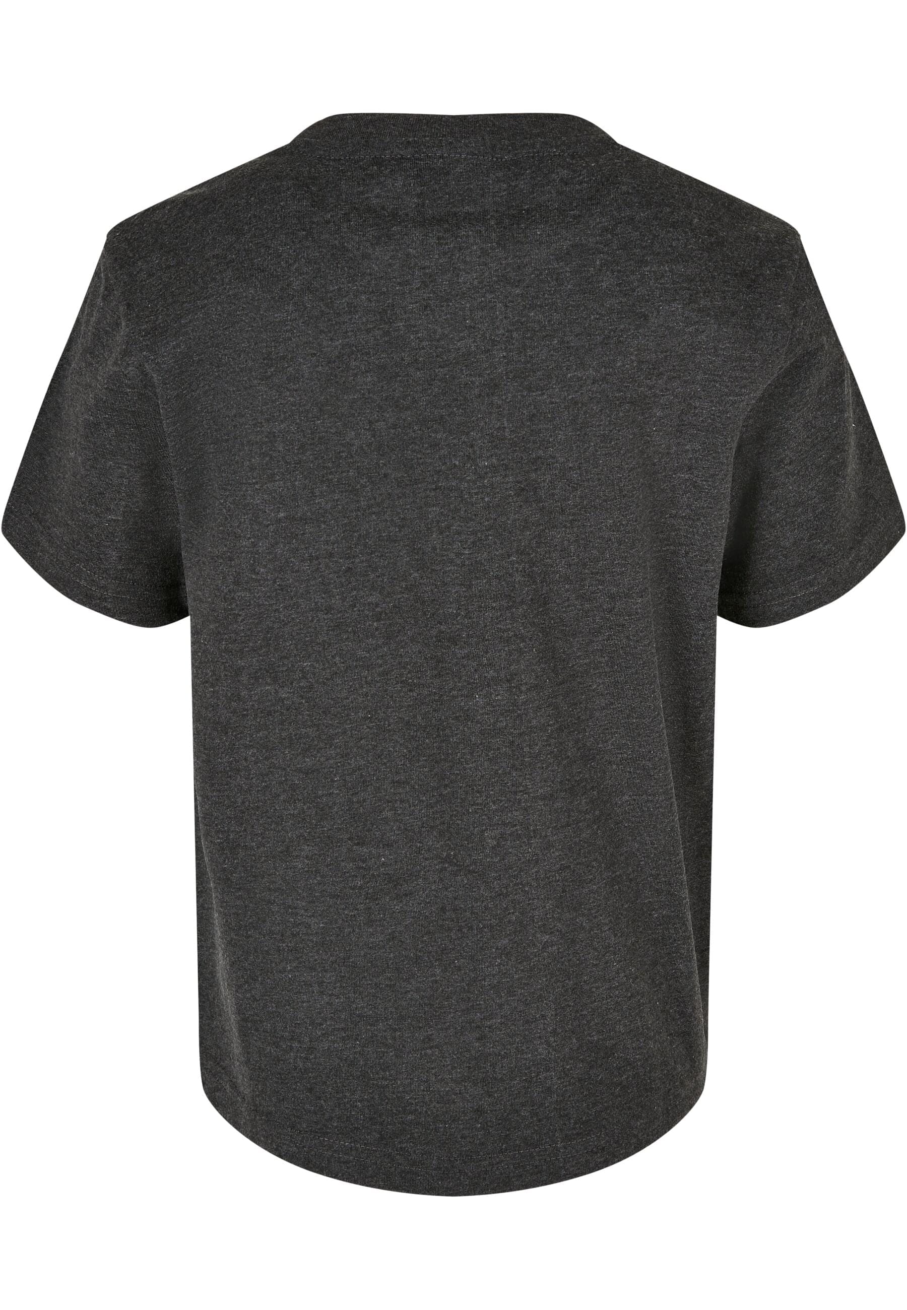 URBAN CLASSICS T-Shirt »Urban Classics Herren Boys Tall Tee«, (1 tlg.)