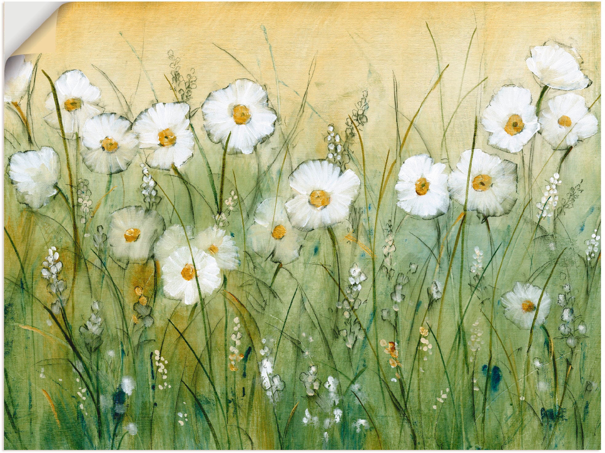 Artland Wandbild »Gänseblümchenfrühling II«, Blumen, (1 St.), als Alubild, Outdoorbild, Leinwandbild, Poster, Wandaufkleber
