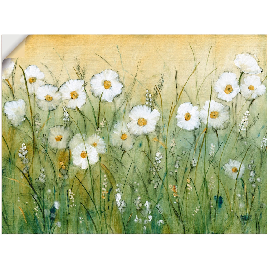 Artland Wandbild »Gänseblümchenfrühling II«, Blumen, (1 St.)