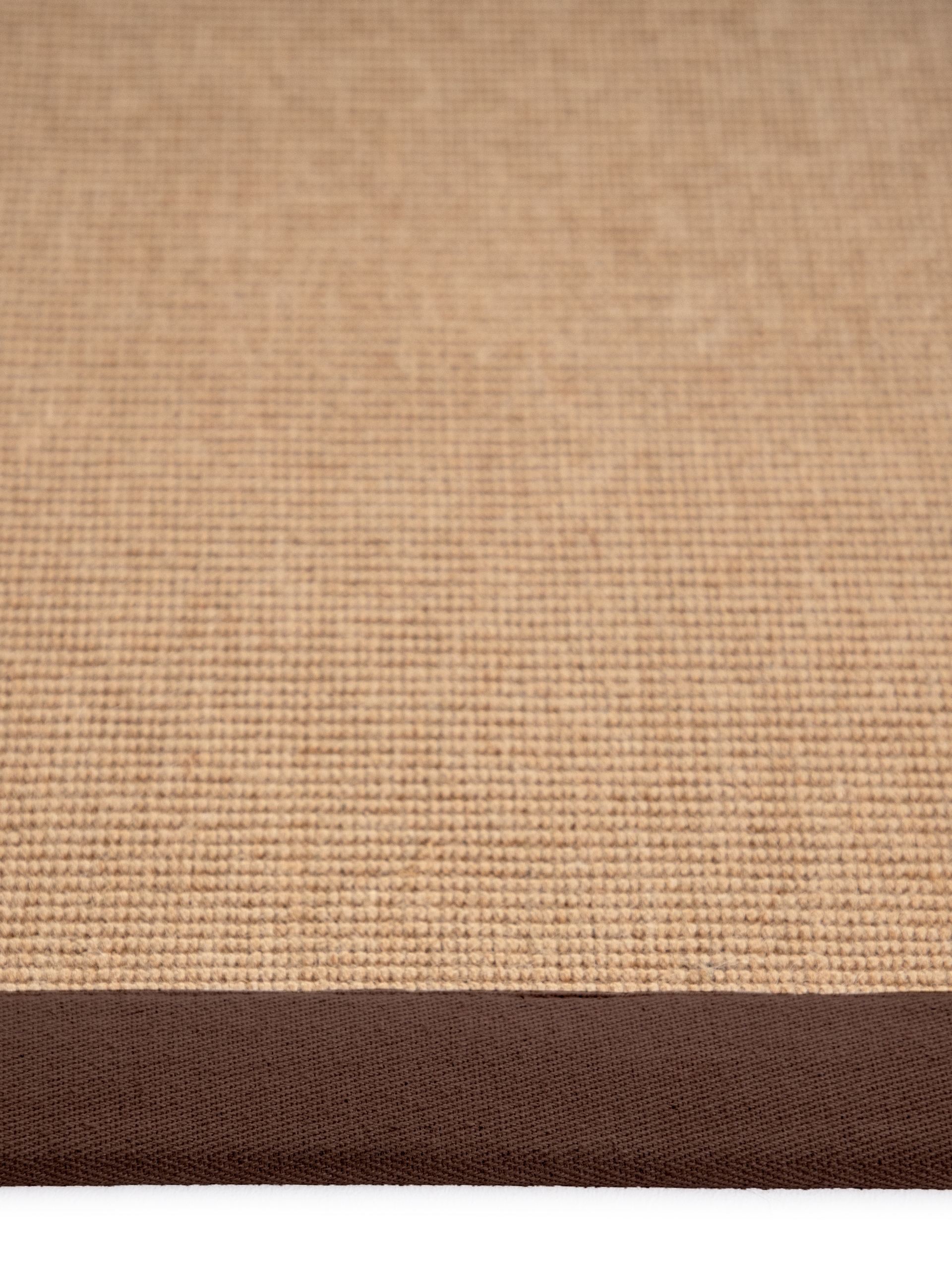 carpetfine Sisalteppich »Sisal«, rechteckig, 5 mm Höhe, mit farbiger Bordüre, Anti Rutsch Rückseite