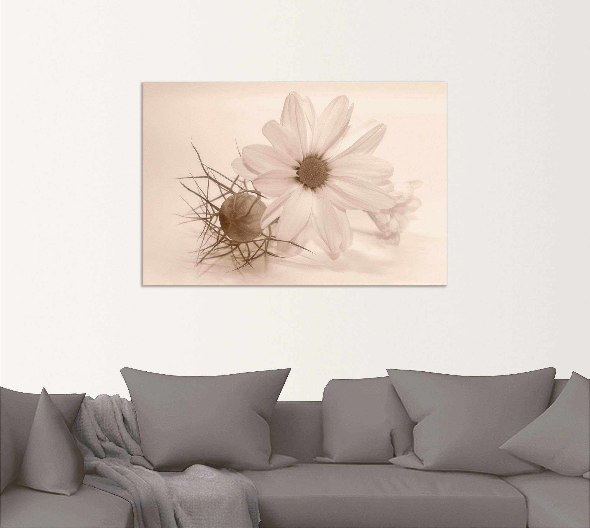 Artland Wandbild "Chrysantheme", Blumen, (1 St.), als Alubild, Outdoorbild, günstig online kaufen