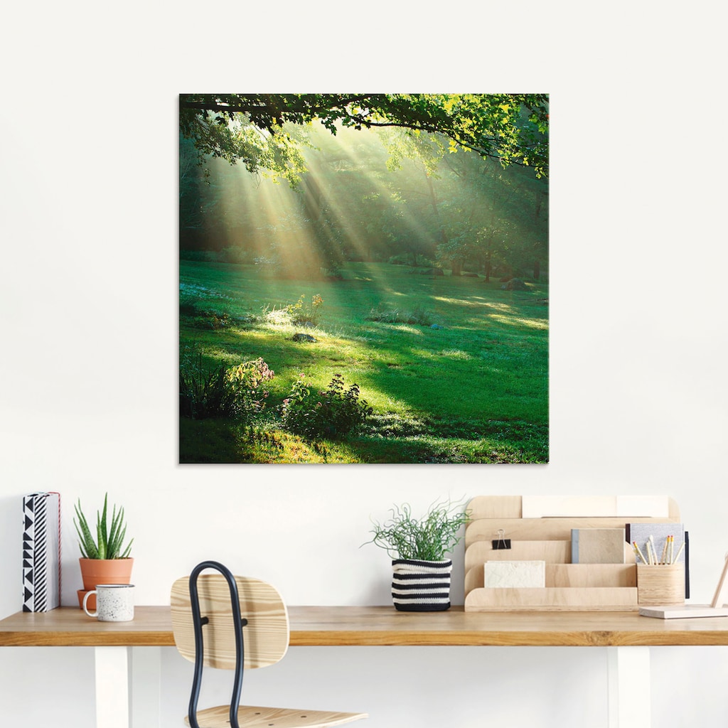 Artland Glasbild »Lichtkegel«, Wald, (1 St.)