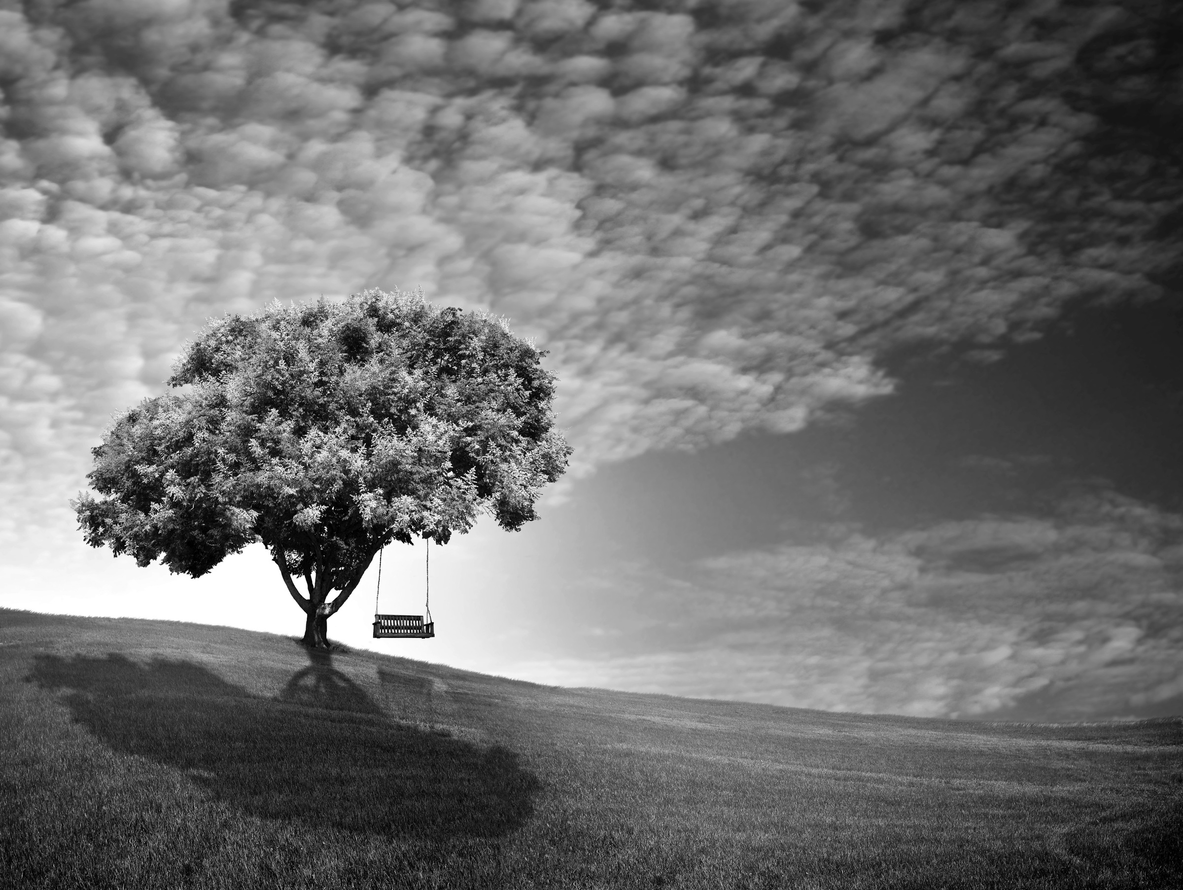 Papermoon Fototapete »Baum Schwarz & Weiß«