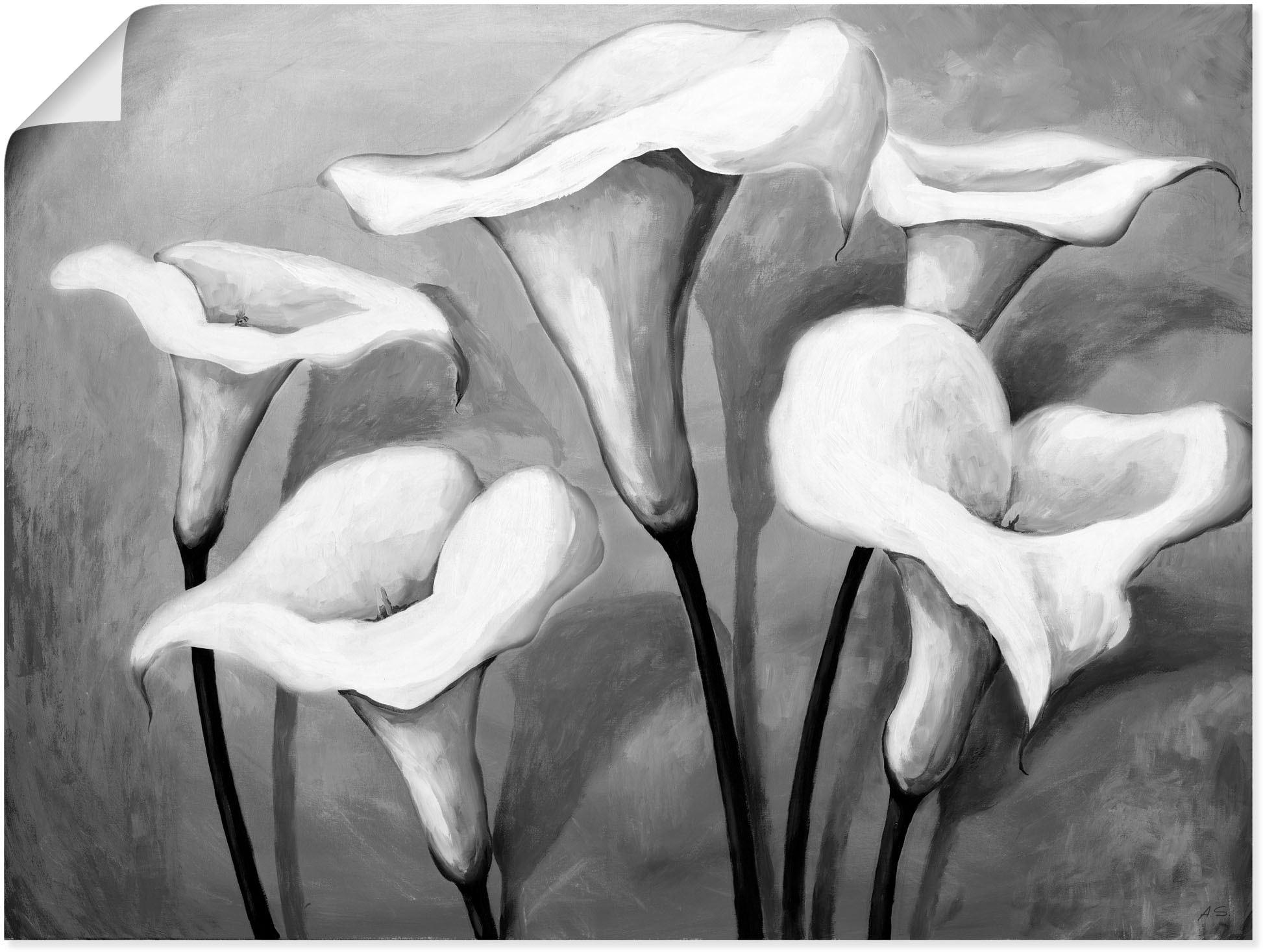 (1 Wandaufkleber kaufen »Callas Poster Leinwandbild, | Artland in versch. BAUR oder als St.), Blumen, Wandbild Größen II«,