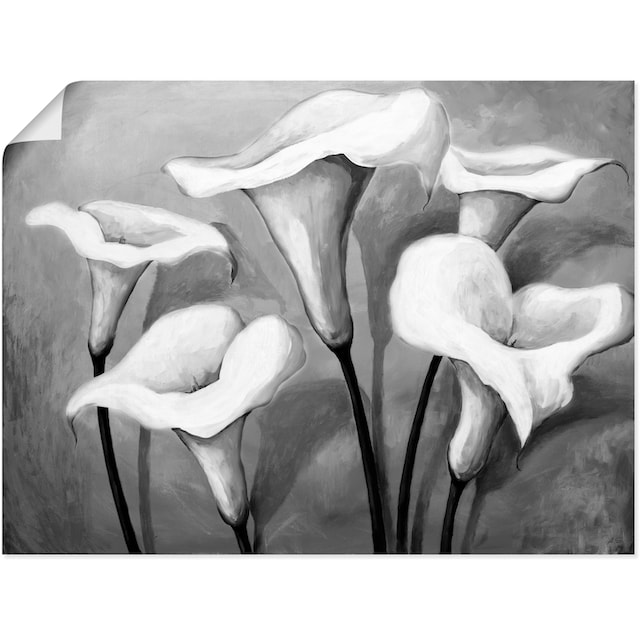 kaufen St.), Wandaufkleber Blumen, II«, als (1 Artland Größen in BAUR »Callas versch. Leinwandbild, oder | Wandbild Poster