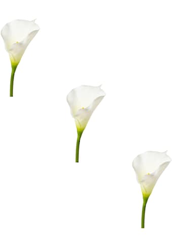 Creativ green Kunstblume »Calla«