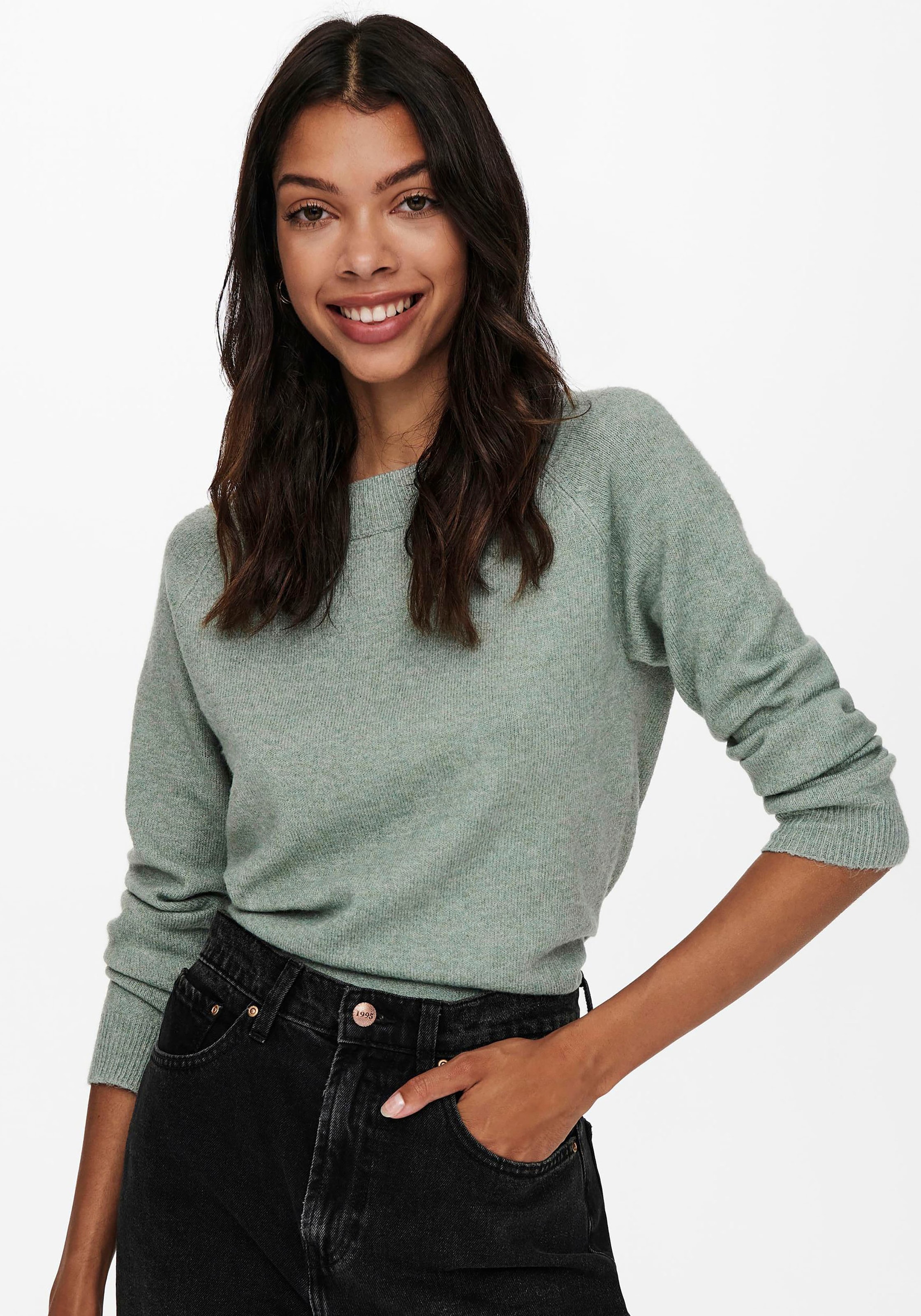 ONLY "ONLRICA LIFE L/S PULLOVER KNT NOOS" günstig online kaufen