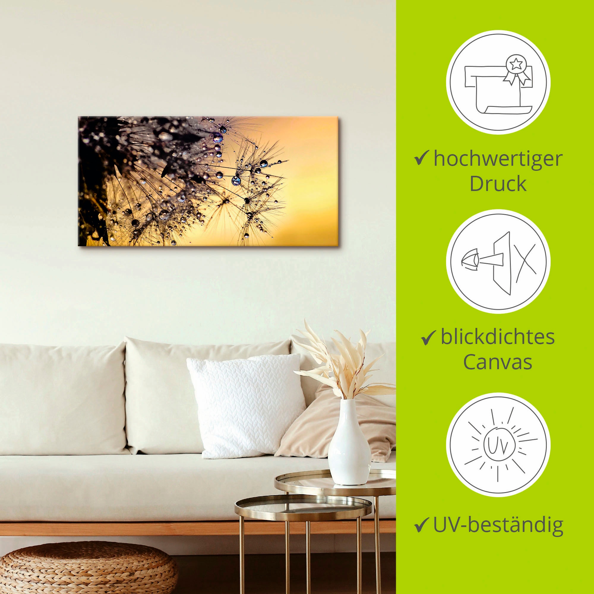 Artland Wandbild »Pusteblume mit Tautropfen benetzt«, Blumen, (1 St.), als Leinwandbild, Poster in verschied. Größen