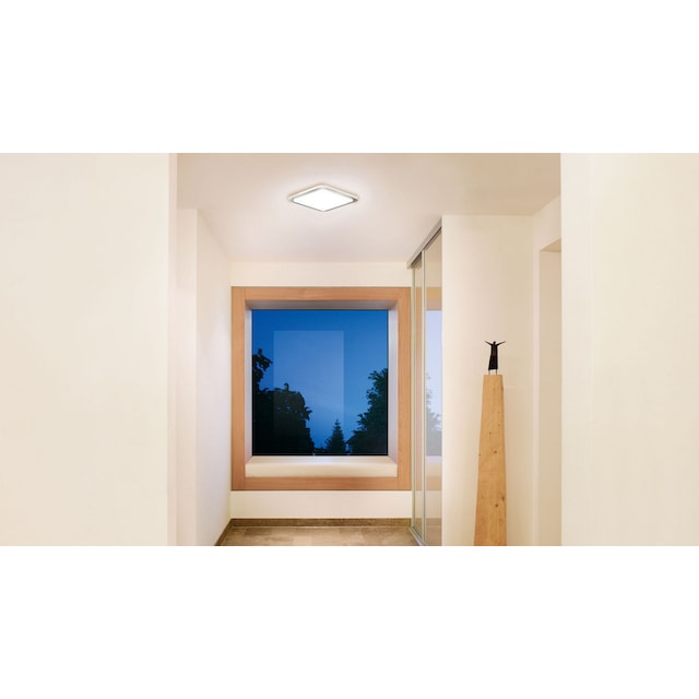steinel LED Deckenleuchte »RS«, 360Â° Bewegungsmelder,Edelstahl+LED-Leuchtmittel,  Warmweiß,Deckenlampe | BAUR