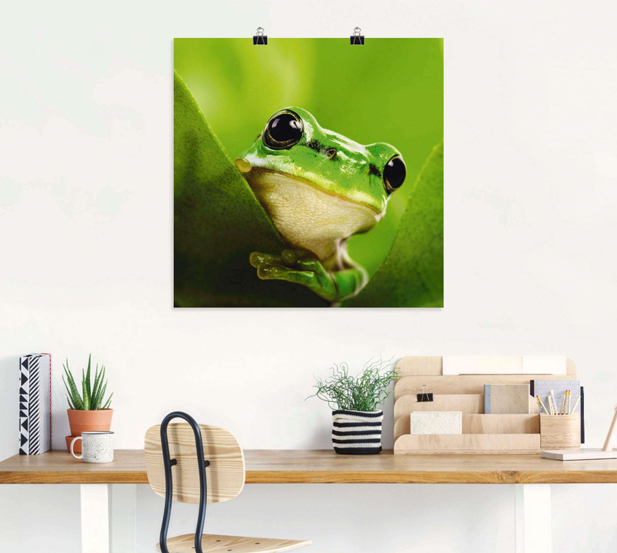 Artland Wandbild »Ausspähender Frosch«, Wassertiere, (1 St.), als Leinwandbild, Poster in verschied. Größen