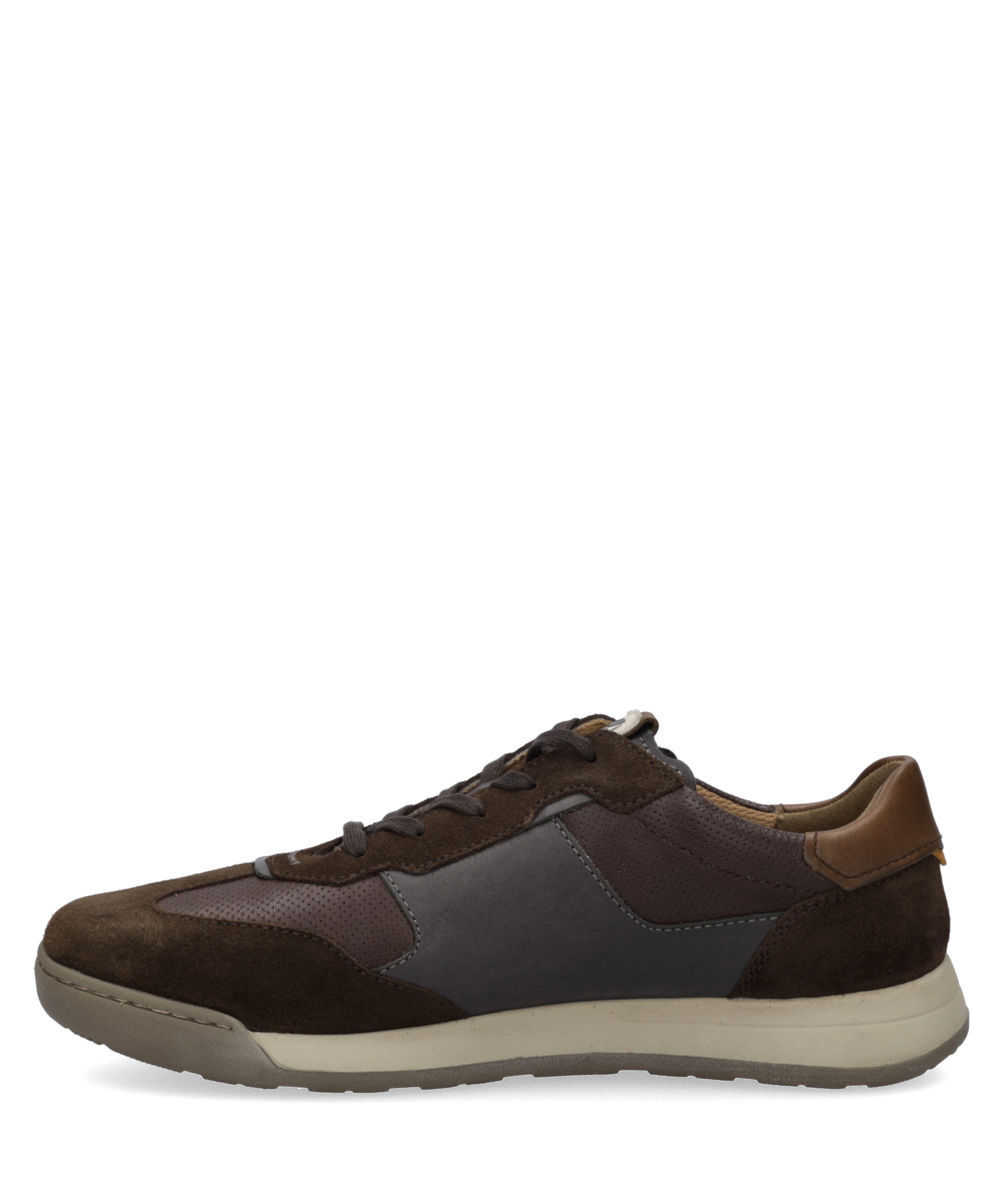 Josef Seibel Sneaker »Blake 02, brasil-multi«