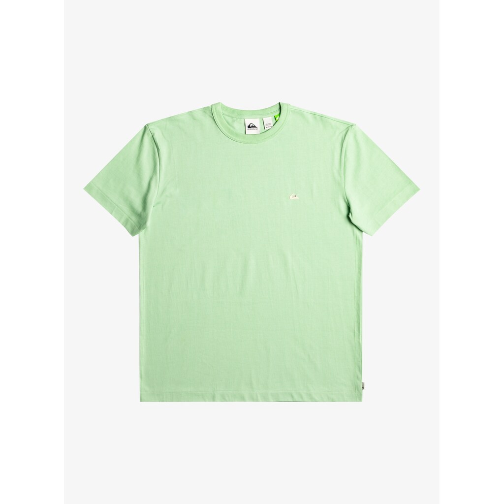 Quiksilver T-Shirt »Essentials«