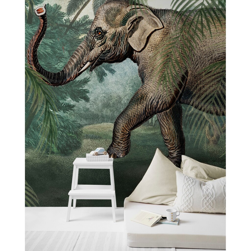 Art for the home Fototapete »Elefant«, animal print