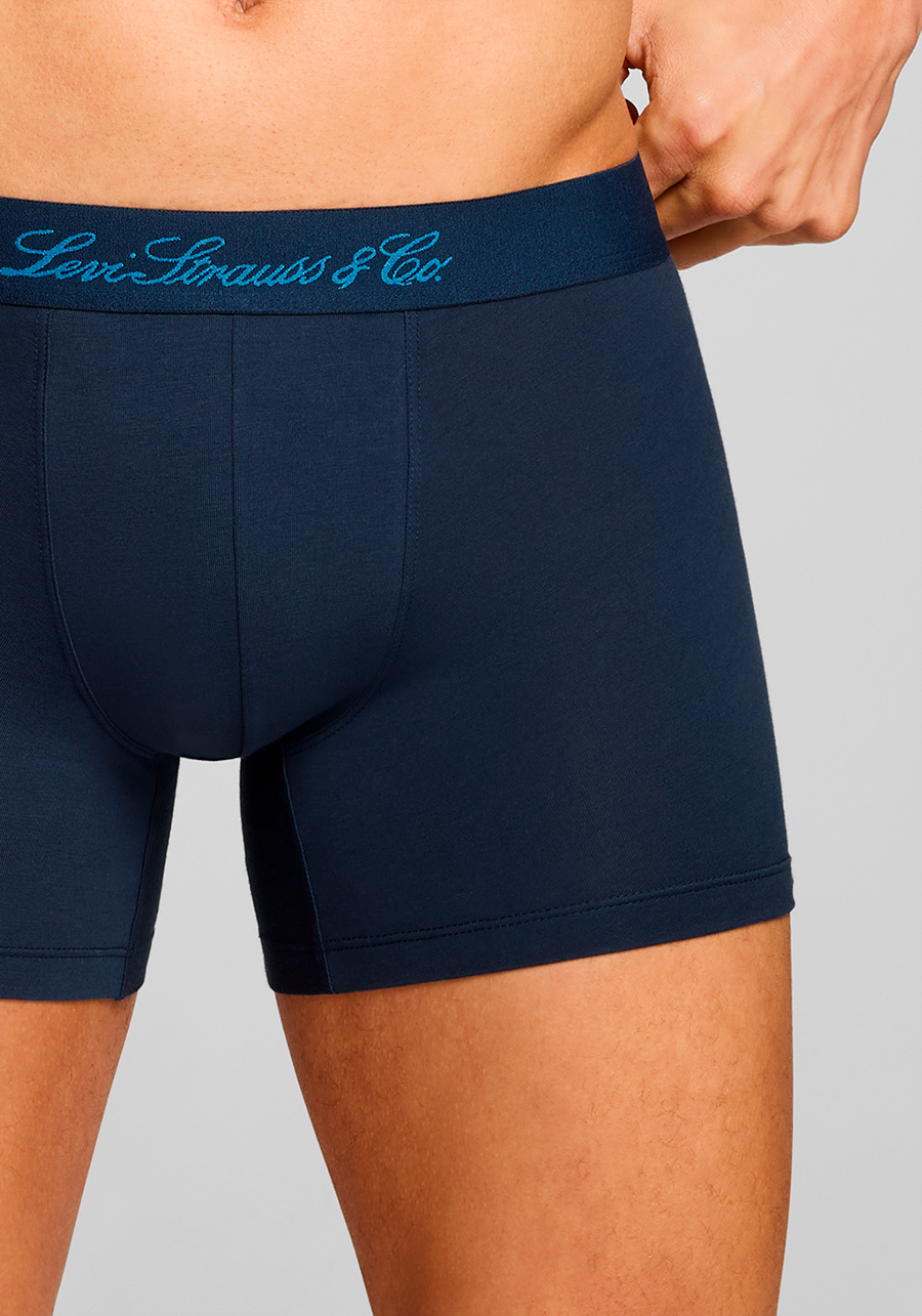 Levi's® Boxershorts »LEVIS MEN WESTERN AOP BOXER BRIEF 2P«, (2er Pack)
