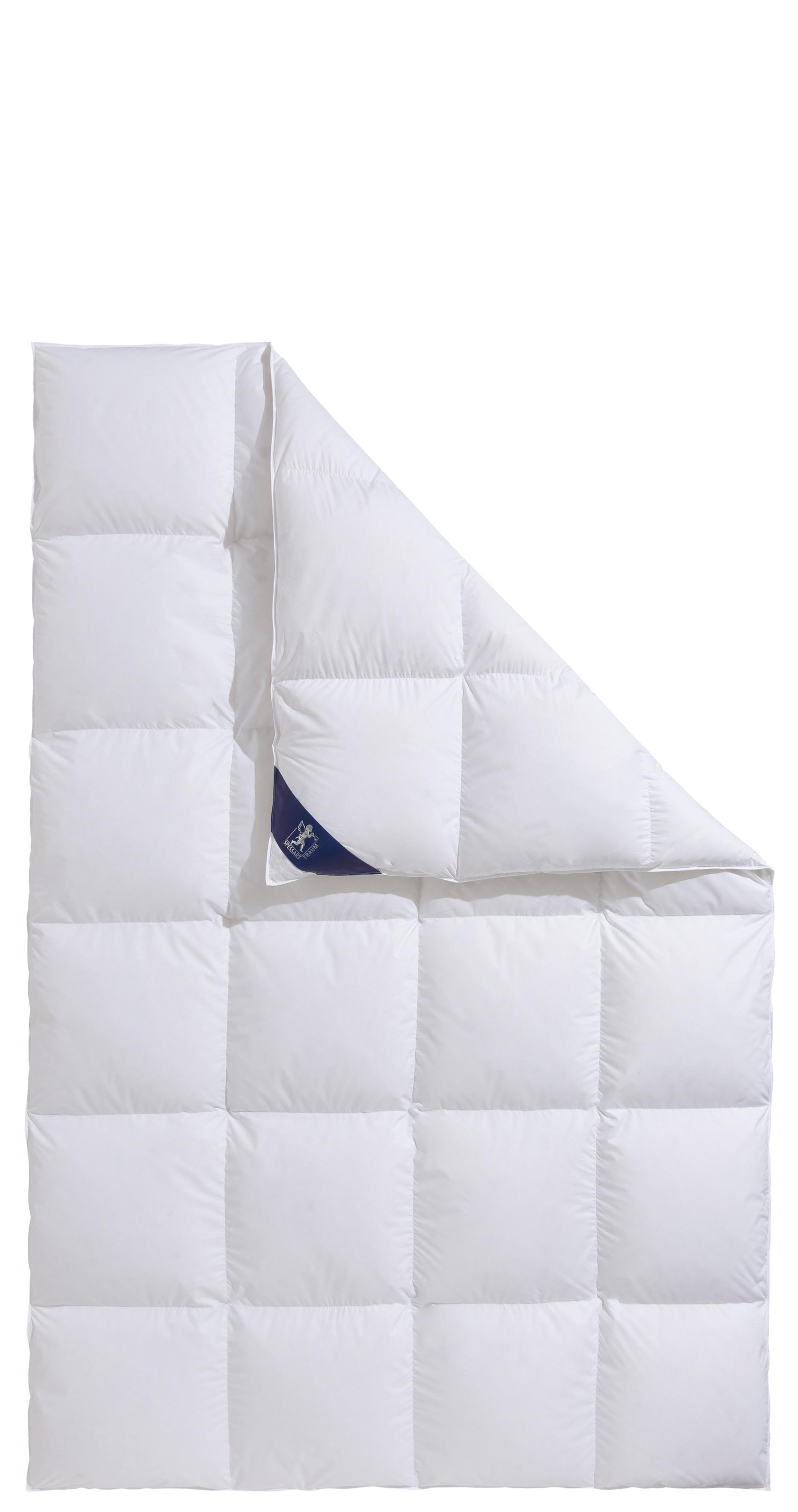 SPESSARTTRAUM Daunenbettdecke + 3-Kammer-Kopfkissen »Exklusiv, 2-tlg, hergestellt in Deutschland, made in Germany, Set«, (Spar-Set, Decke mit Kissen), Sparset: 5 Wärmeklassen, 135x200 cm & 155x220 cm