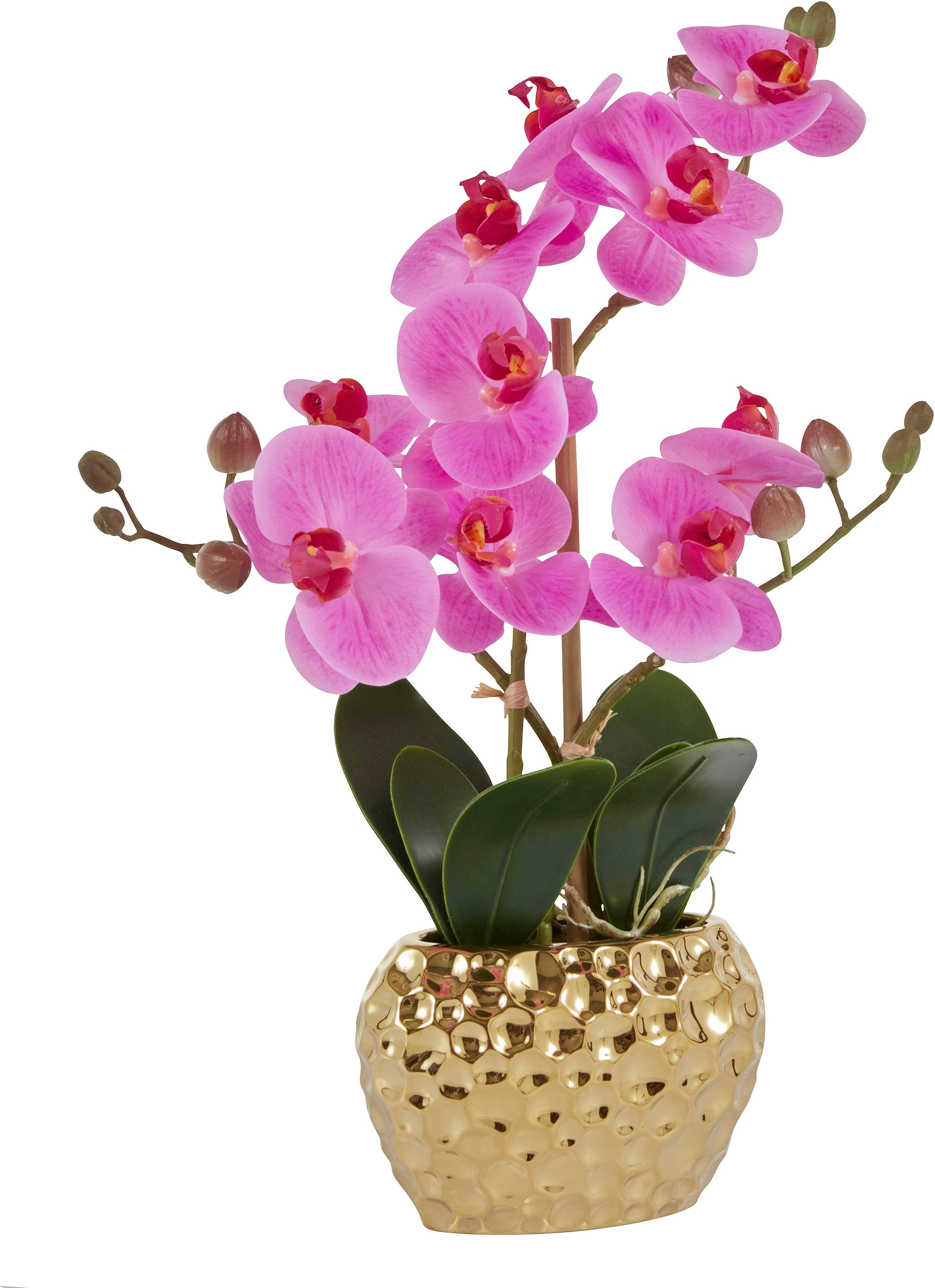 Leonique Kunstpflanze »Orchidee«, | im Kunstorchidee, BAUR Topf bestellen