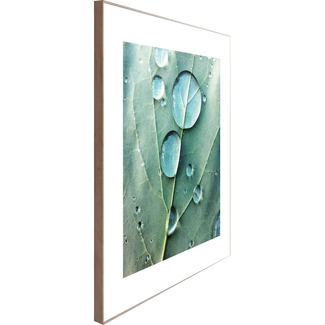 Reinders! Wandbild »Slim Frame Wood 50x50 Dew Drops« bestellen | BAUR