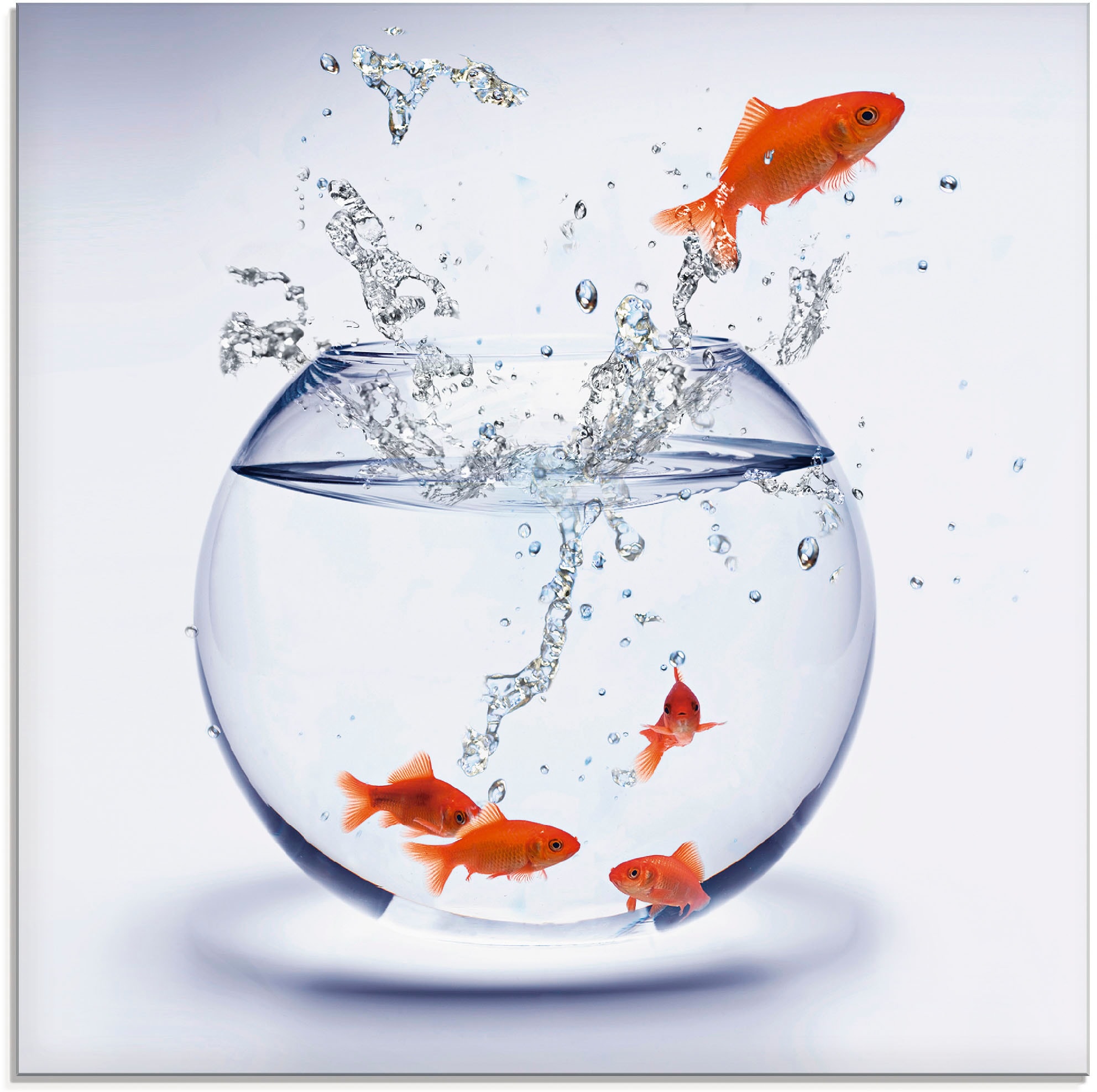 Artland Glasbild "Goldfischaquarium" Wassertiere 1 Stk. tlg. in verschiedenen Größen