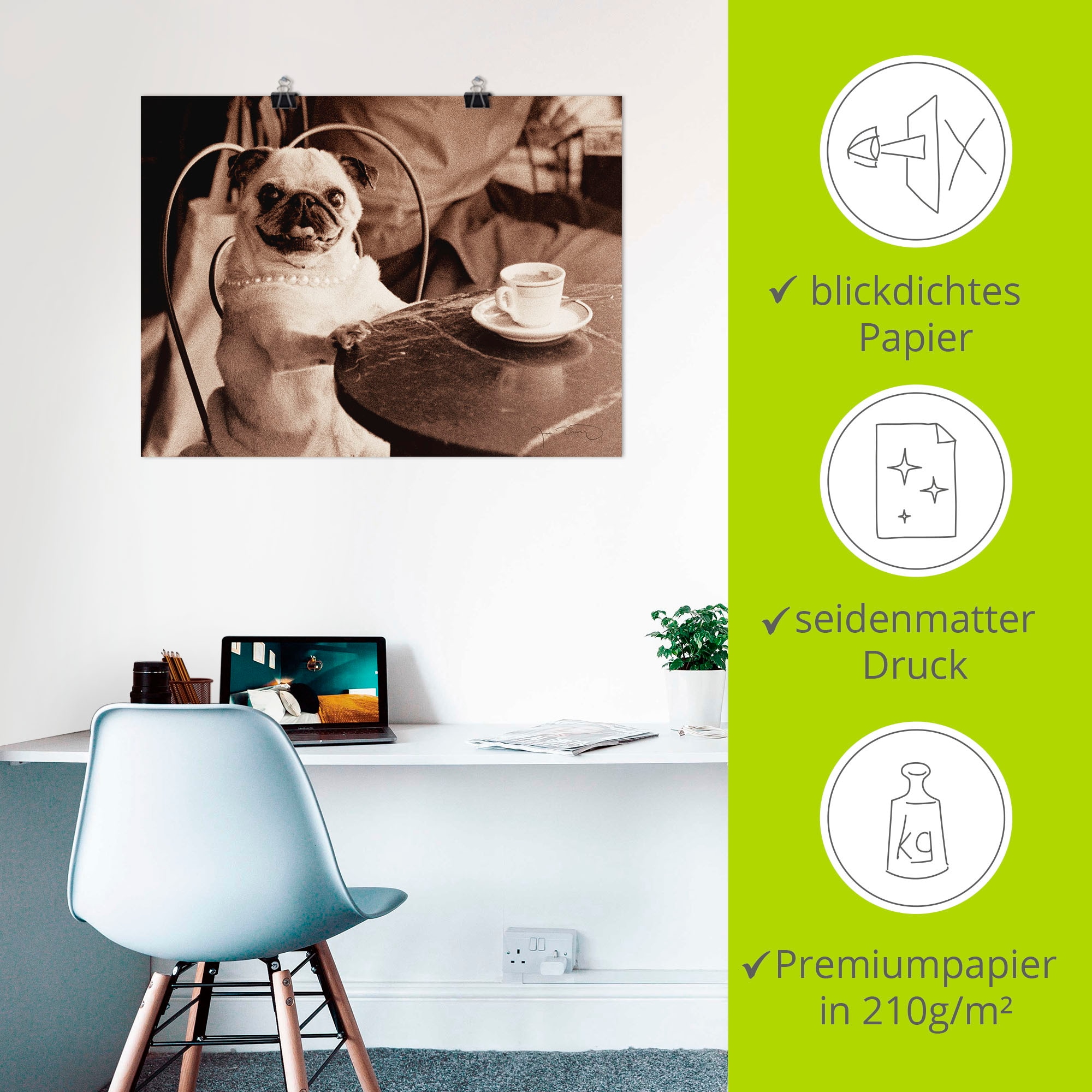 Artland Wandbild »Kaffee Mops«, Haustiere, (1 St.), als Leinwandbild, Poster, Wandaufkleber in verschied. Größen