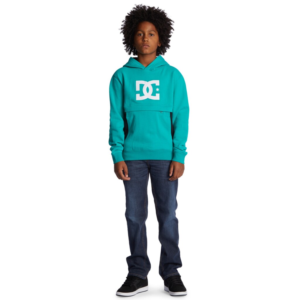 DC Shoes Kapuzensweatshirt »Bandwidth«