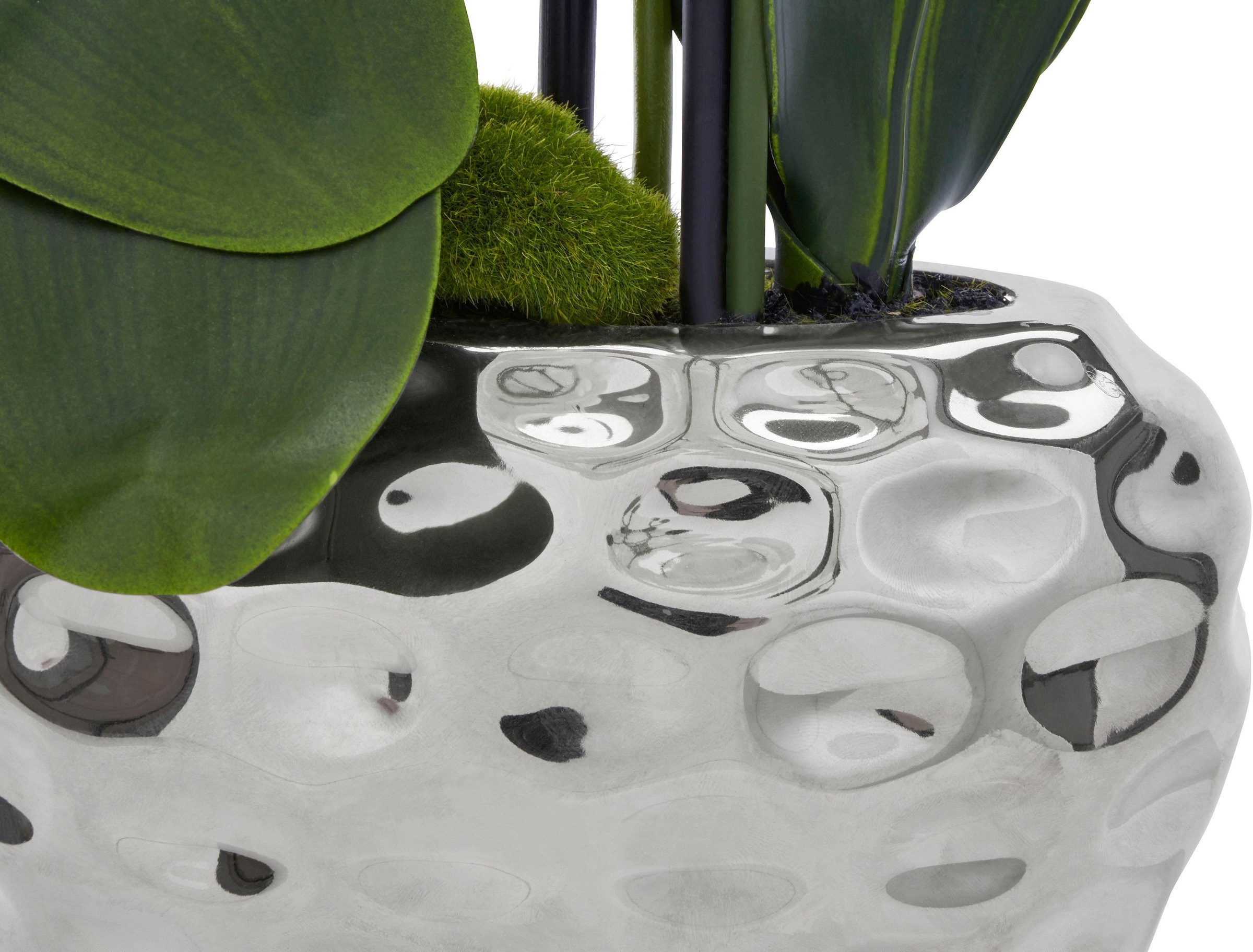 Creativ green Kunstpflanze »Orchidee«