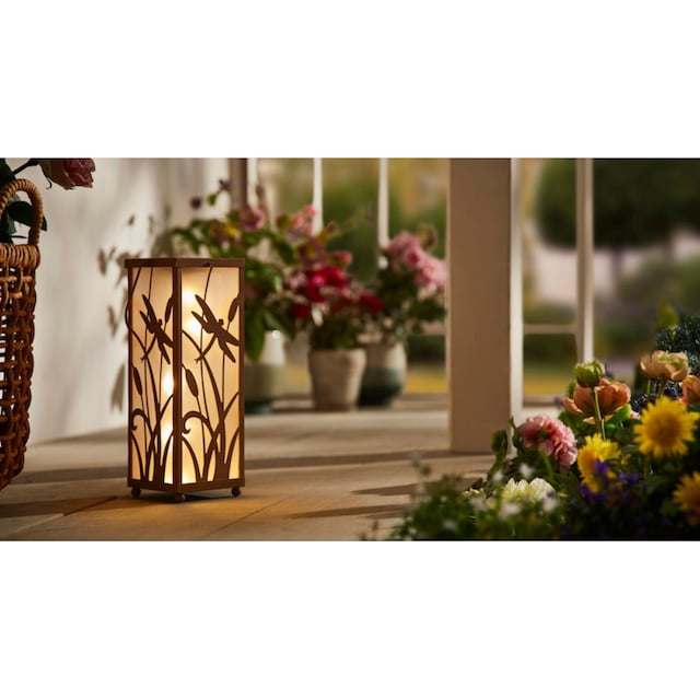 Schneider LED Gartenleuchte »Libelle« bestellen | BAUR