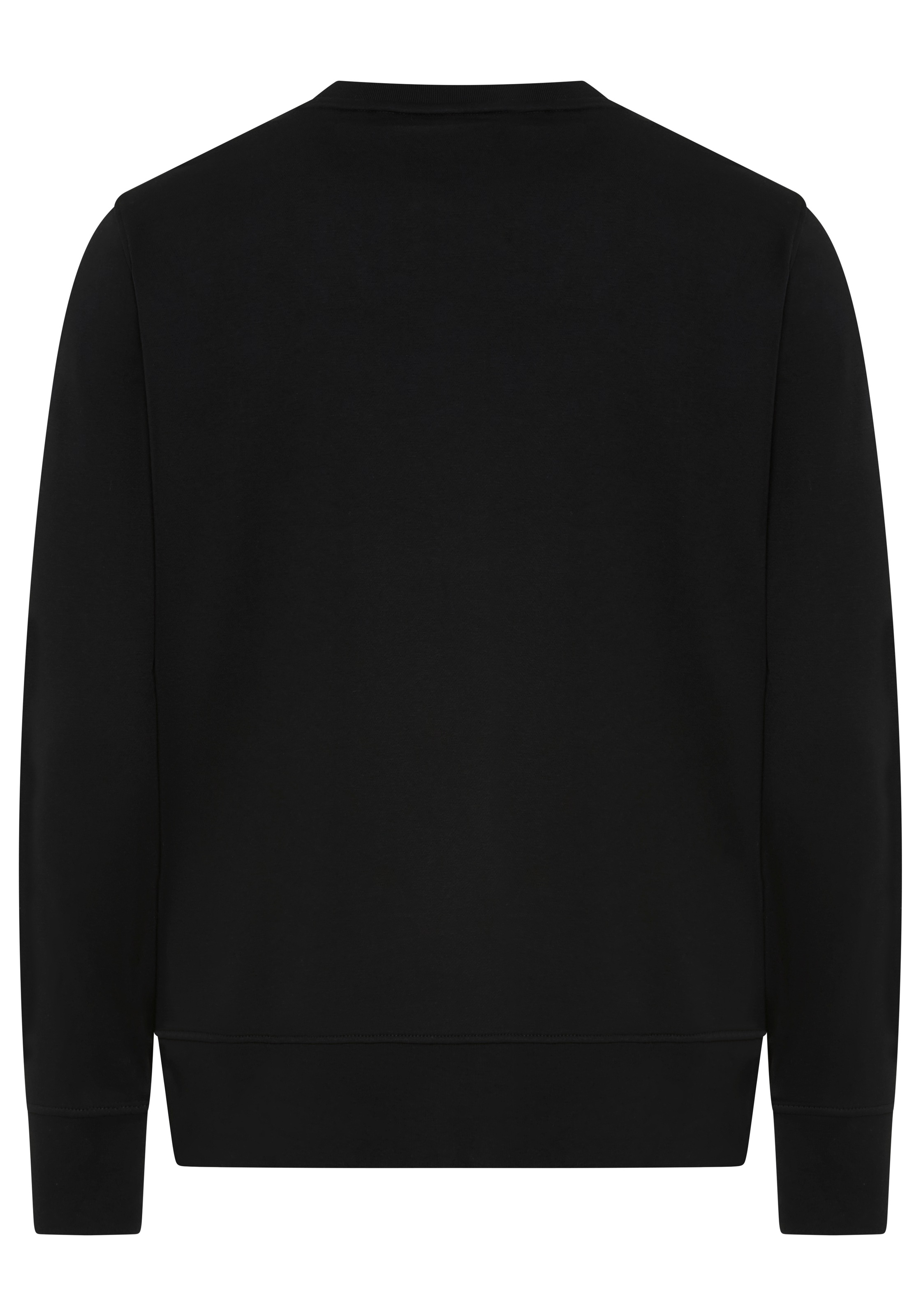 Gant Sweatshirt "GRAPHIC C-NECK SWEAT", Mit Rundhalsausschnitt günstig online kaufen