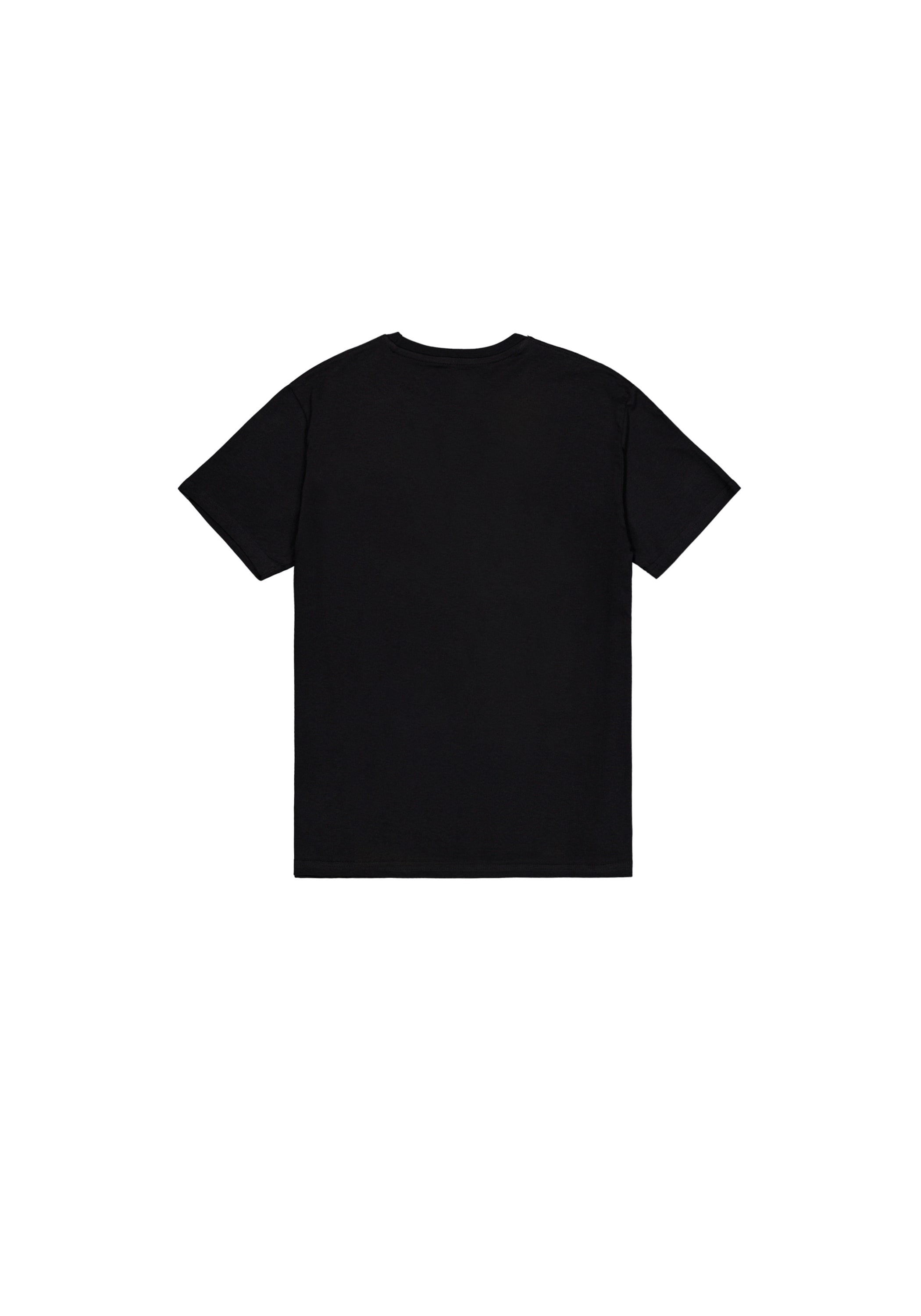 Alpha Industries T-Shirt »Camo Puff Print T-Shirt«
