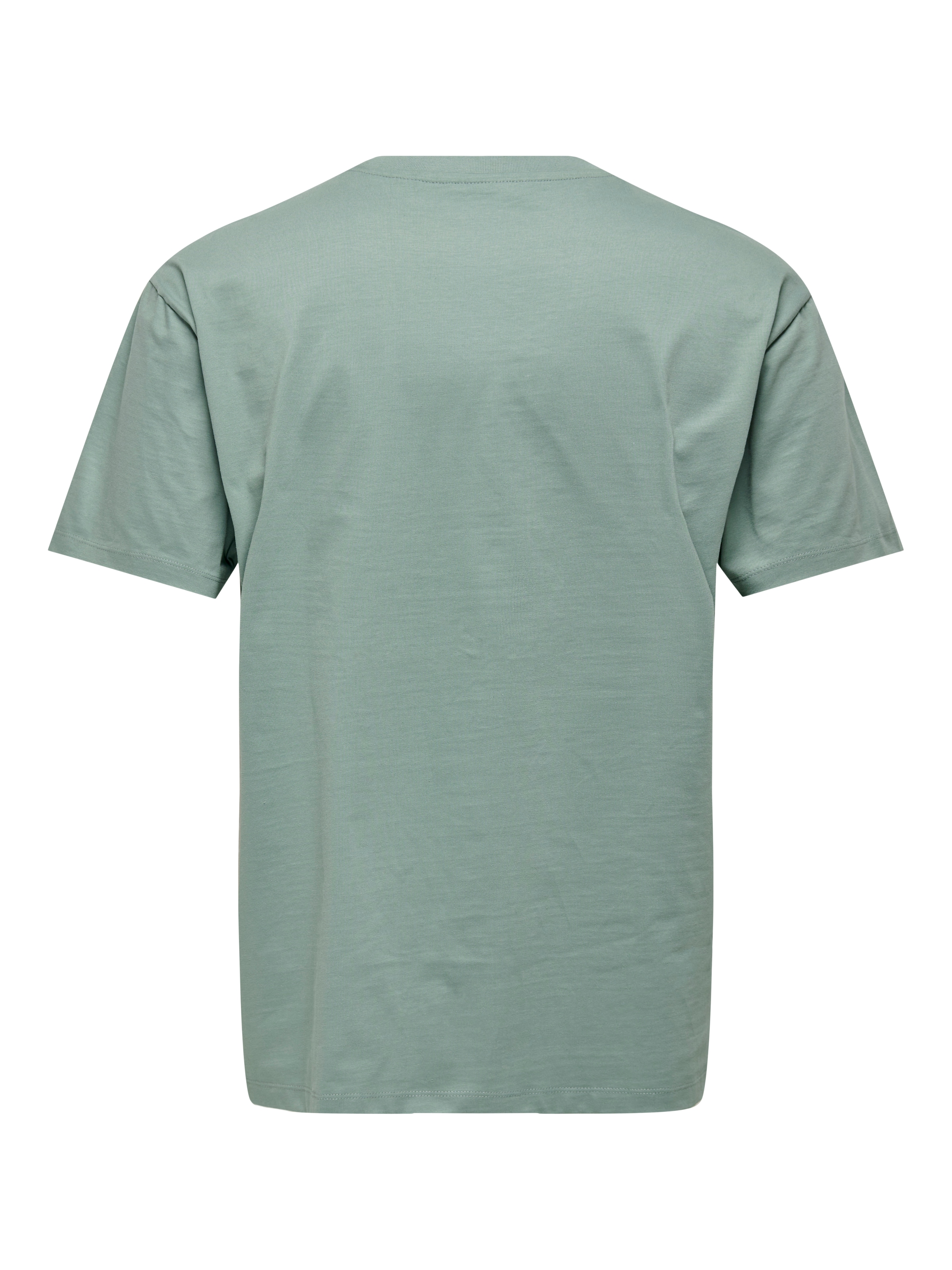 ONLY & SONS T-Shirt »ONSFRED LIFE RLX SS TEE NOOS«