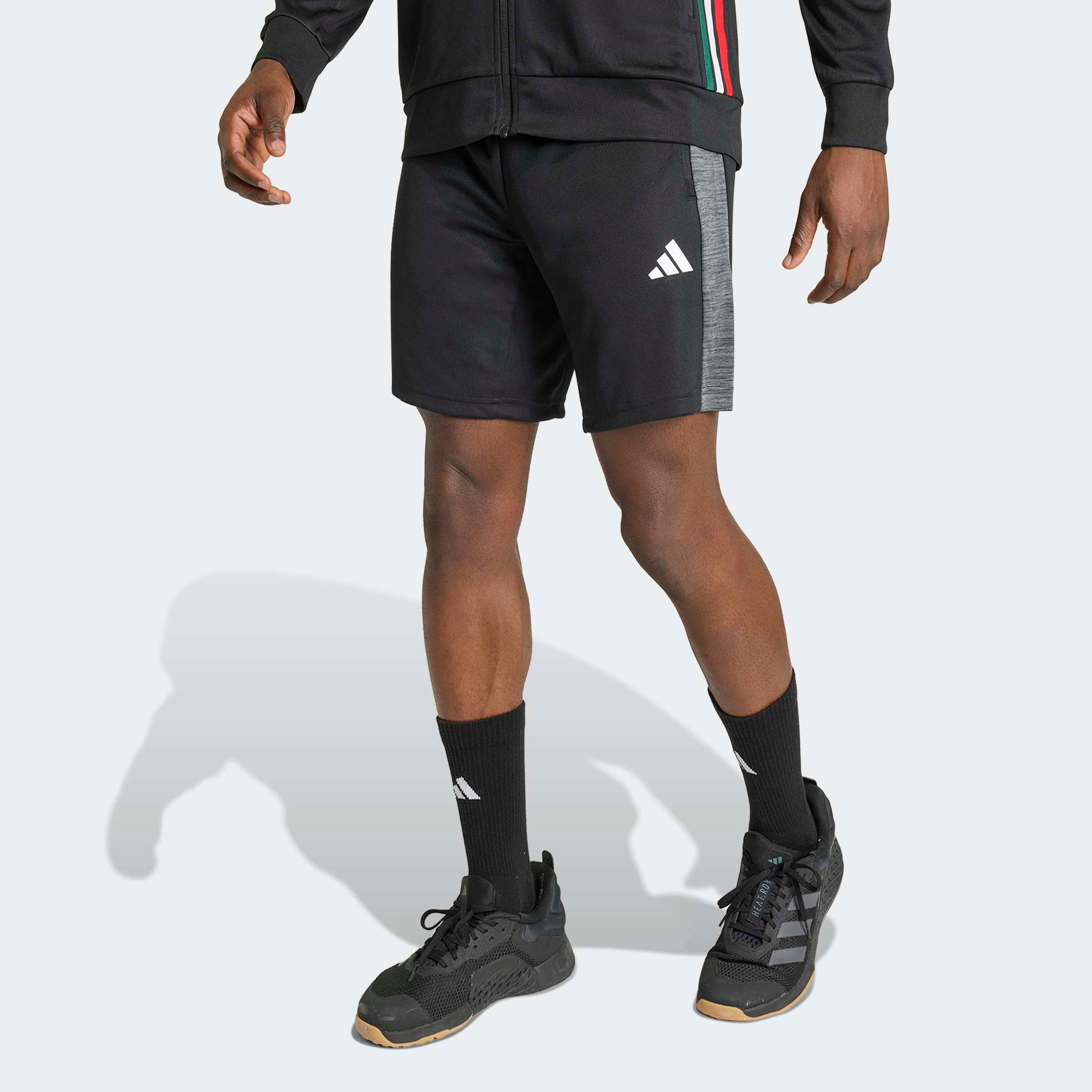 adidas Performance Shorts "WORKOUT ESSENTIALS ALL-SET" günstig online kaufen