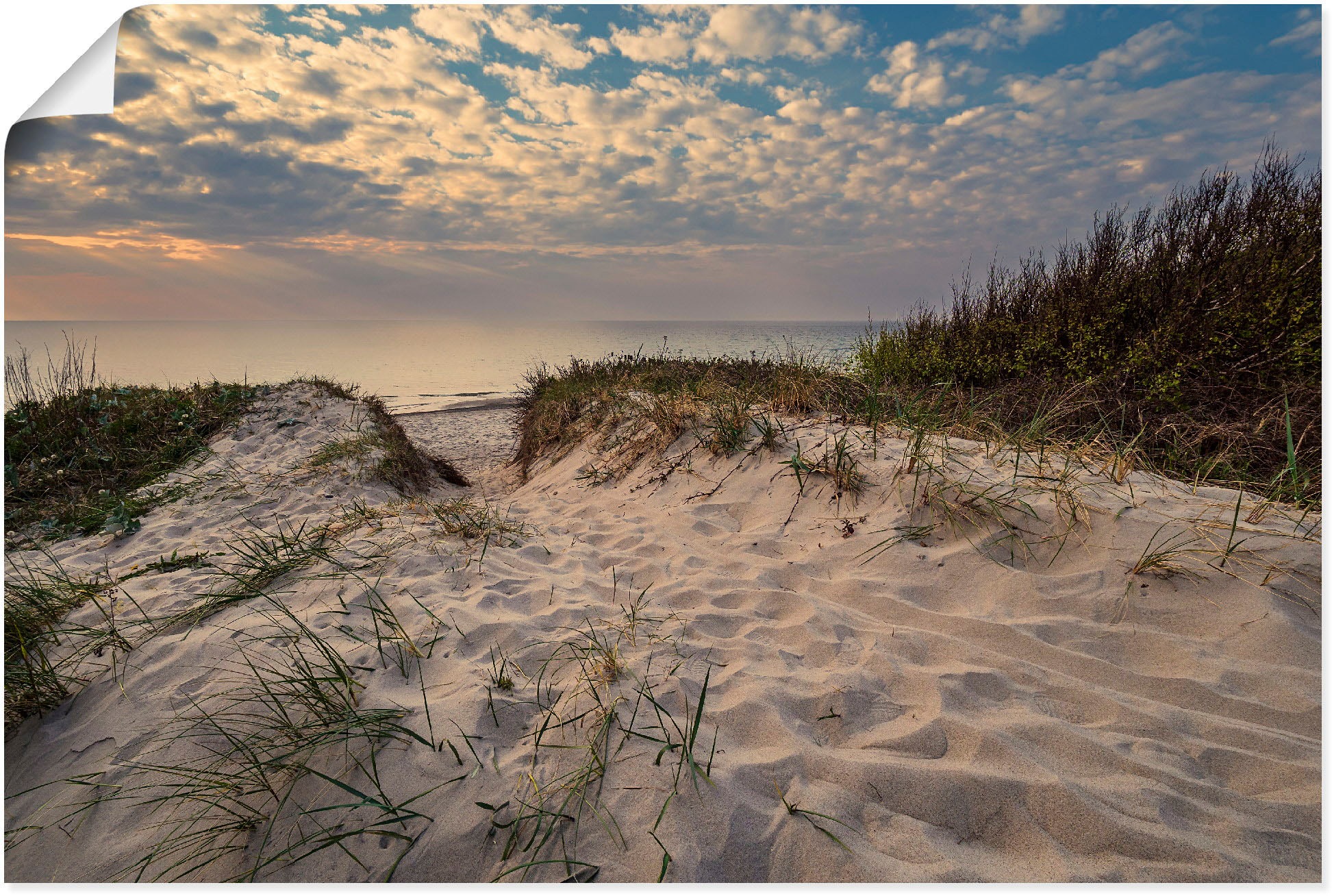 Artland Wandbild "Strand an Küste der Ostsee Graal Müritz", Küstenbilder, ( günstig online kaufen