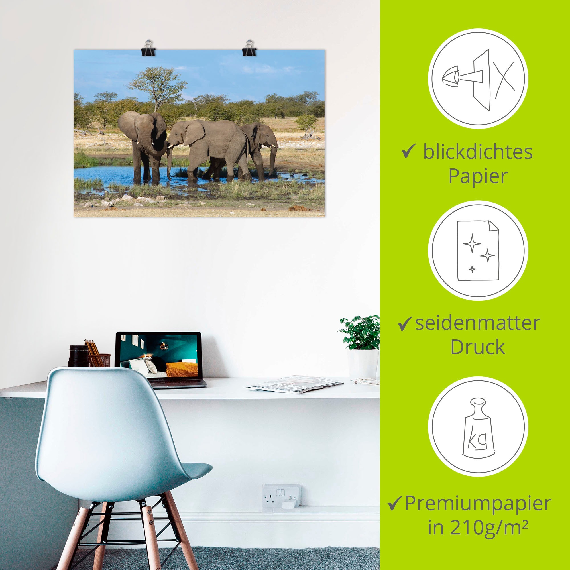 Artland Wandbild »Afrikanischer Elefant EtoshaNationalpark«, Elefanten Bilder, (1 St.), als Leinwandbild, Wandaufkleber in verschied. Größen