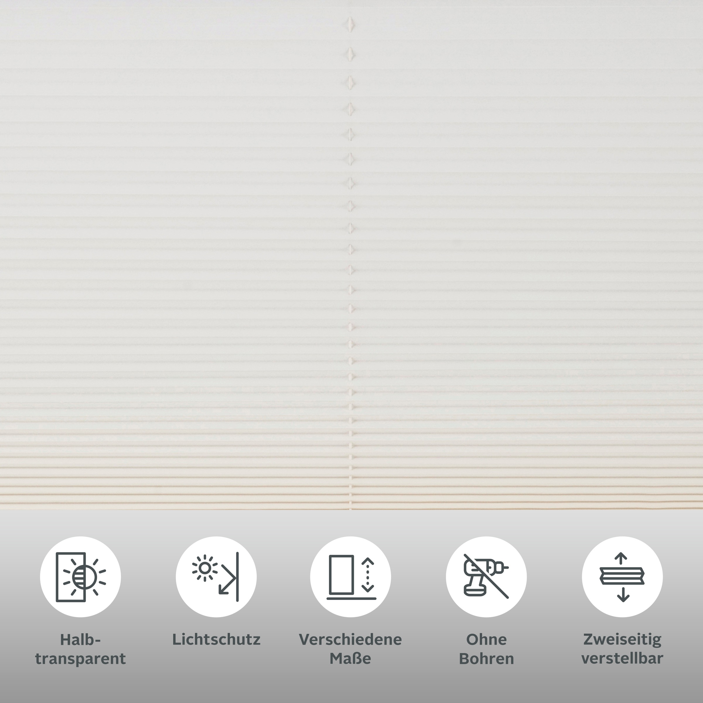 Thumbnail - my home Plissee "LAHOLM" Lichtschutz ohne Bohren verspannt Fixmaß, Bestseller mit über 3000 4,5-Sterne-Bewertungen, Klem...