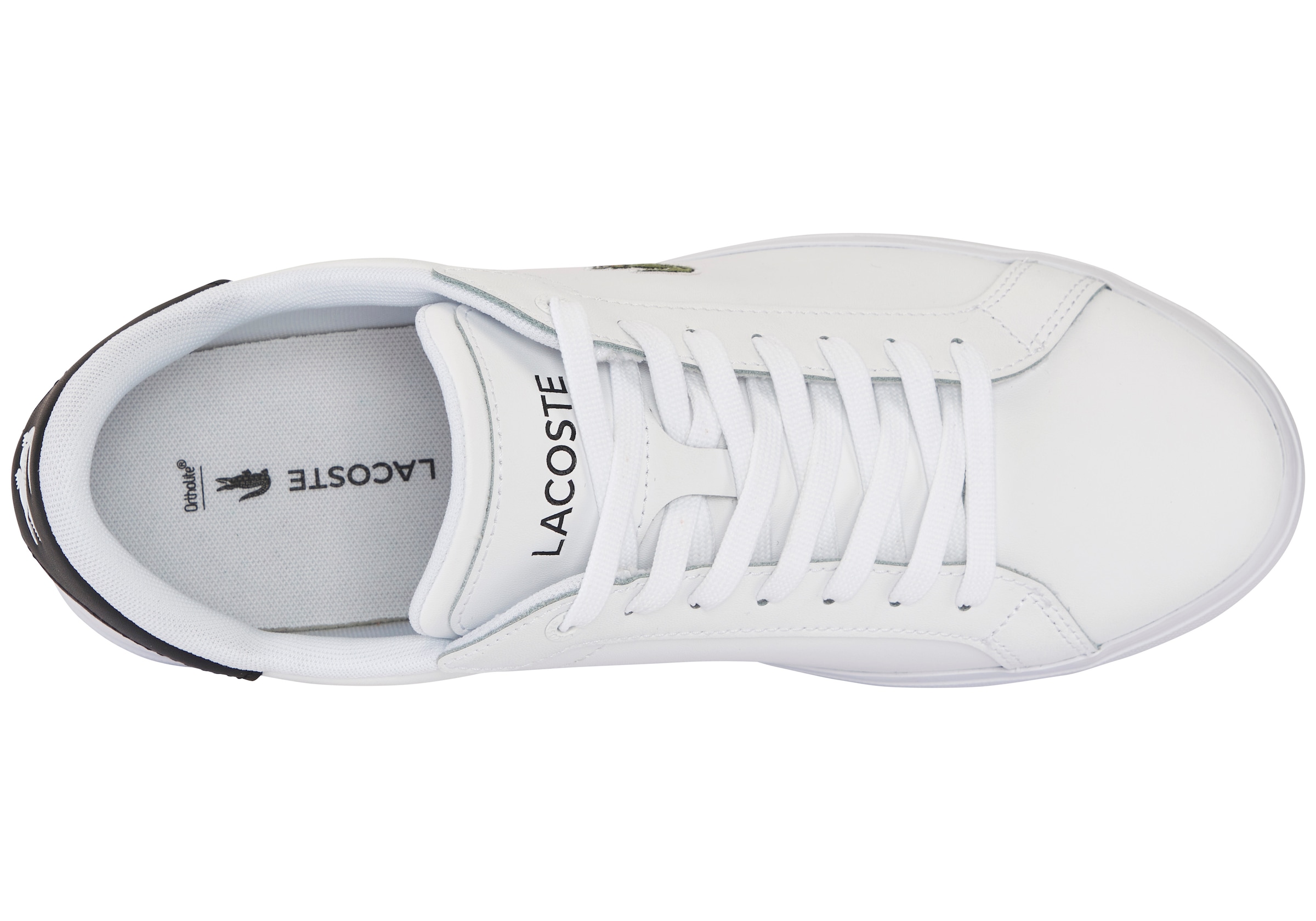 Lacoste Sneaker »POWERCOURT«